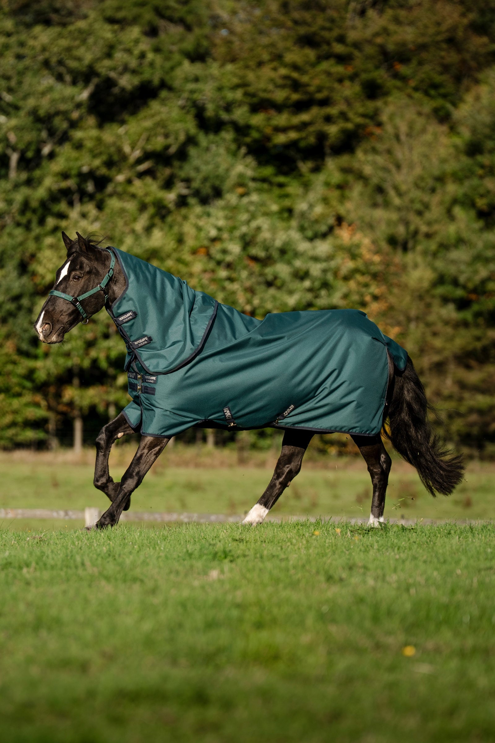 Horseware Amigo Ripstop 900D Plus Pony Turnout Rug, 200 g Horse Rugs