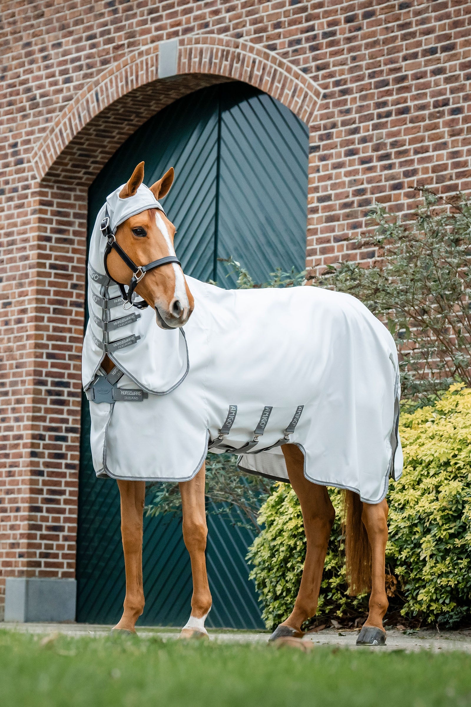 Horseware Amigo Ripstop Vliegendeken Paardendekens