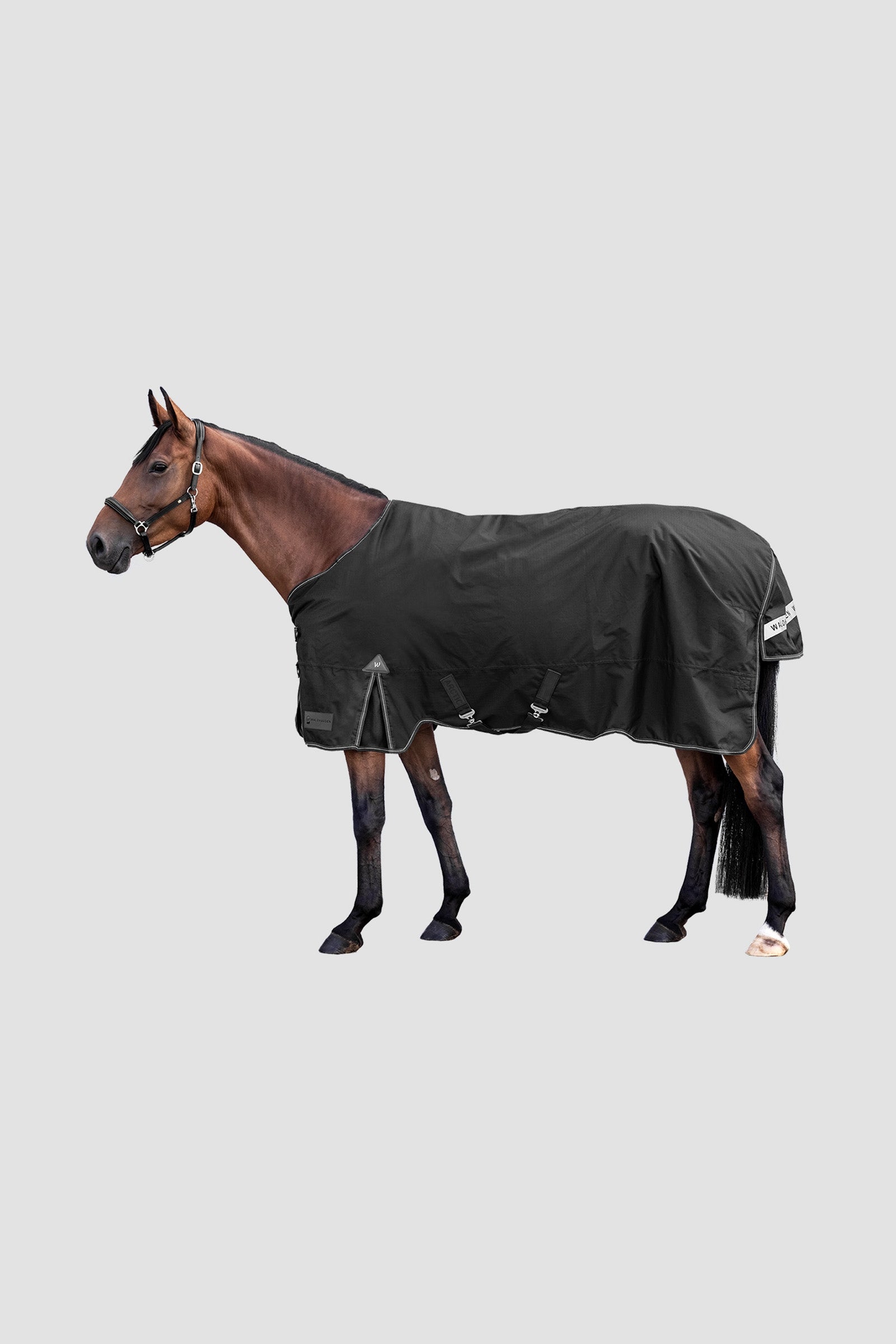 Waldhausen Arctic Outdoor Rug, 100 g Paardendekens