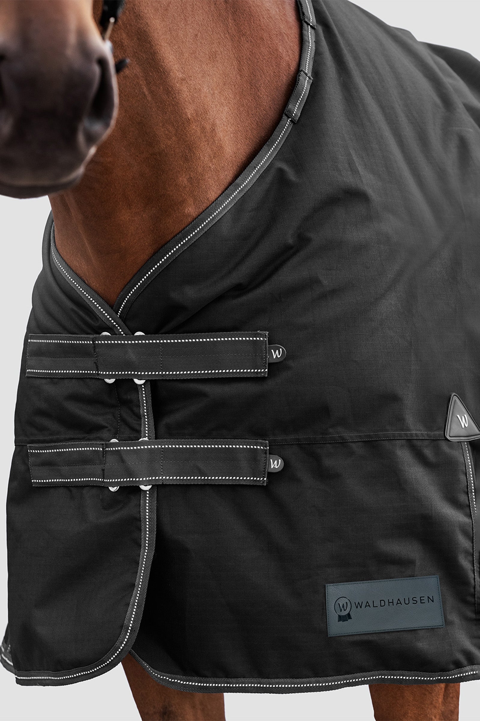 Waldhausen Arctic Outdoor Rug, 100 g Horse Rugs