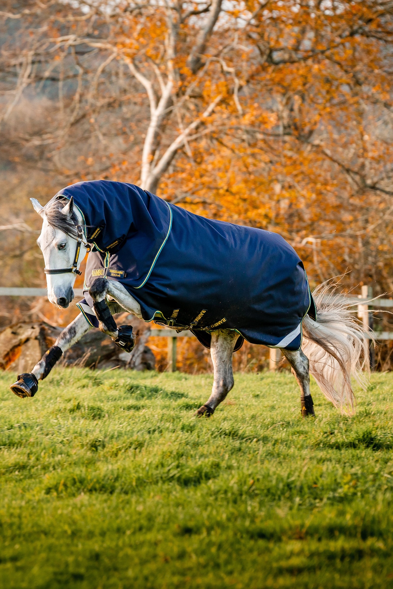 Horseware Rambo Duo Force 2.0 (100g + 100g + 300g) Horse Rugs