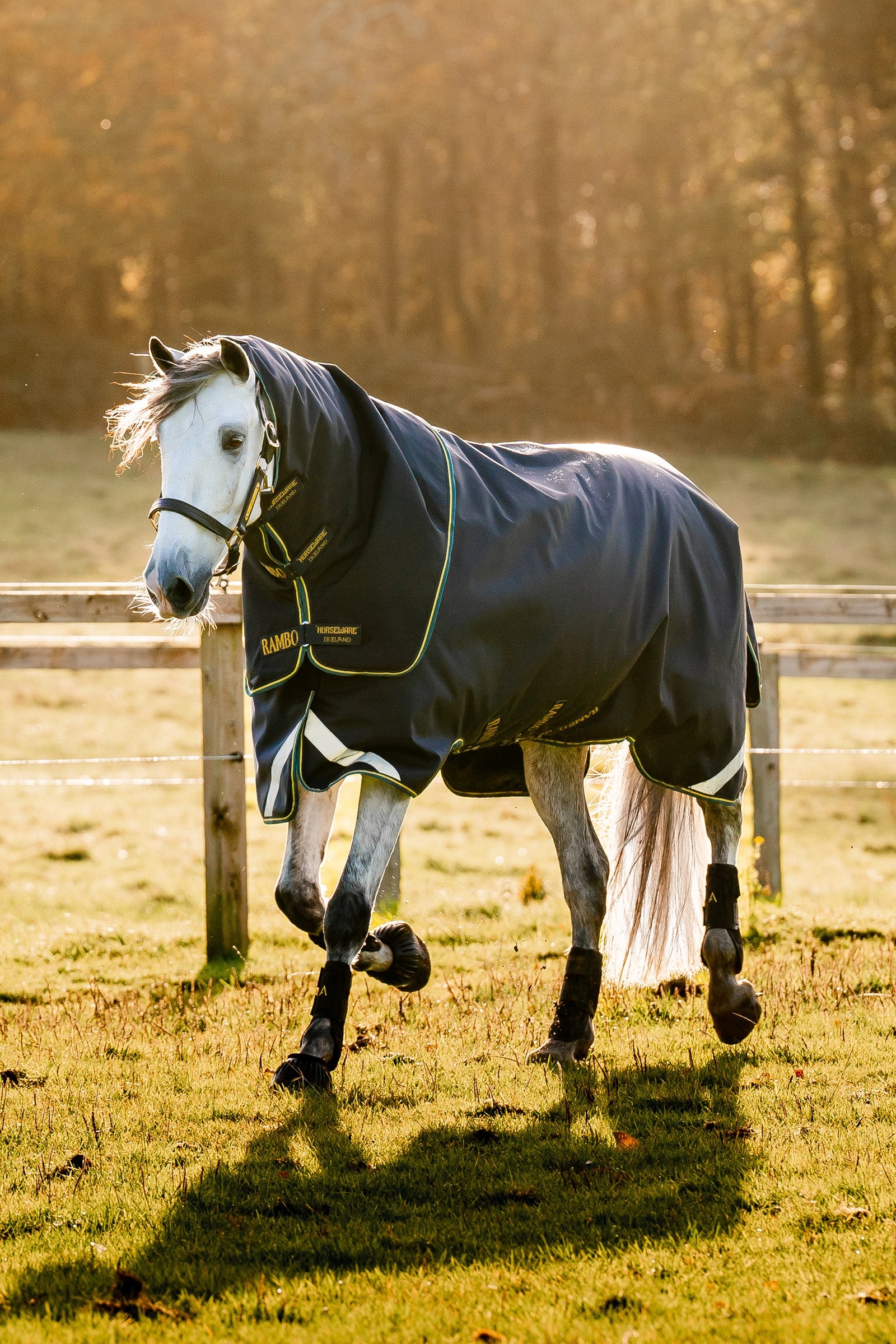 Horseware Rambo Duo Force 2.0 (100g + 100g + 300g) Horse Rugs