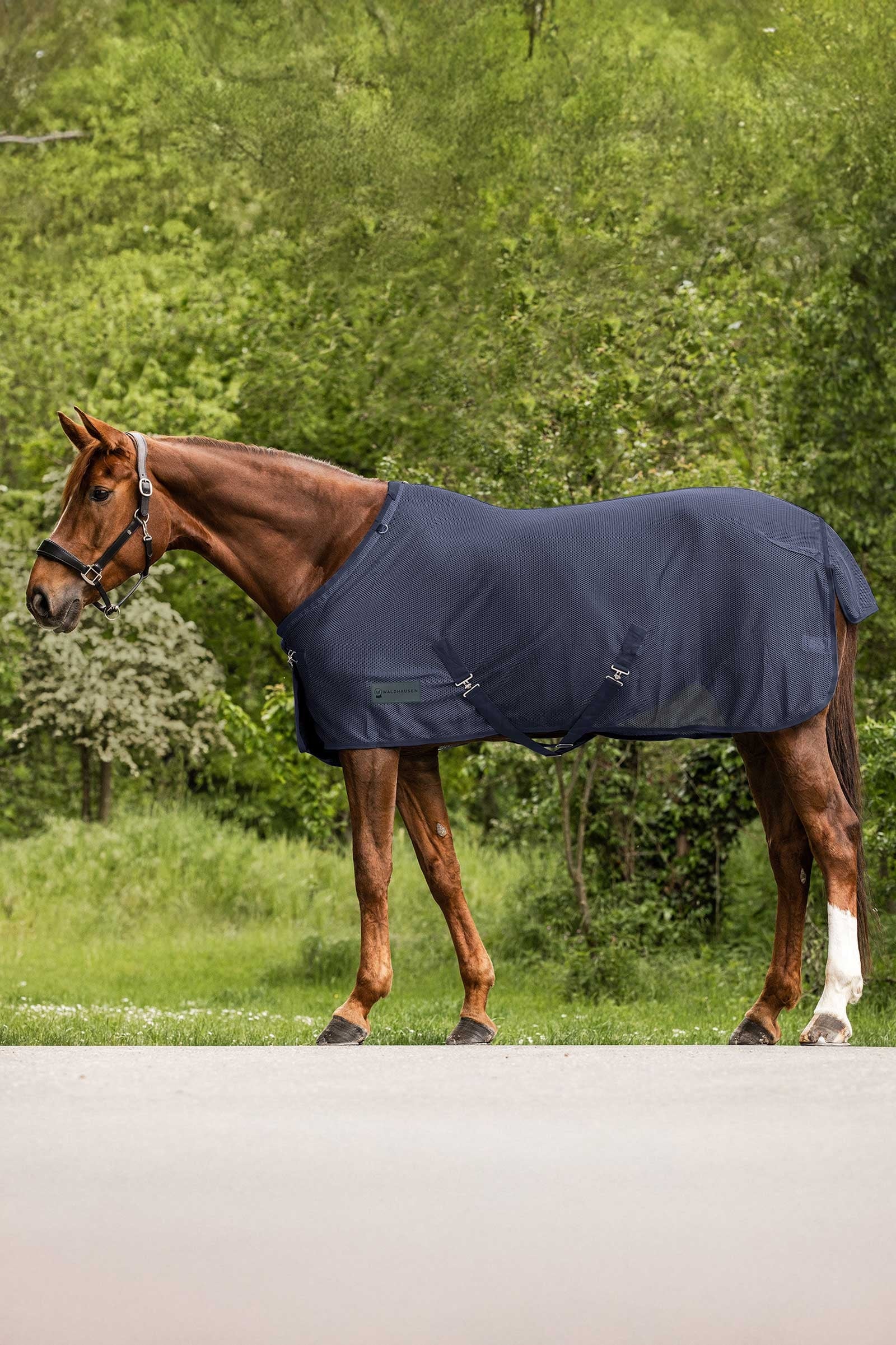 Waldhausen Comfort vliegendeken Paardendekens
