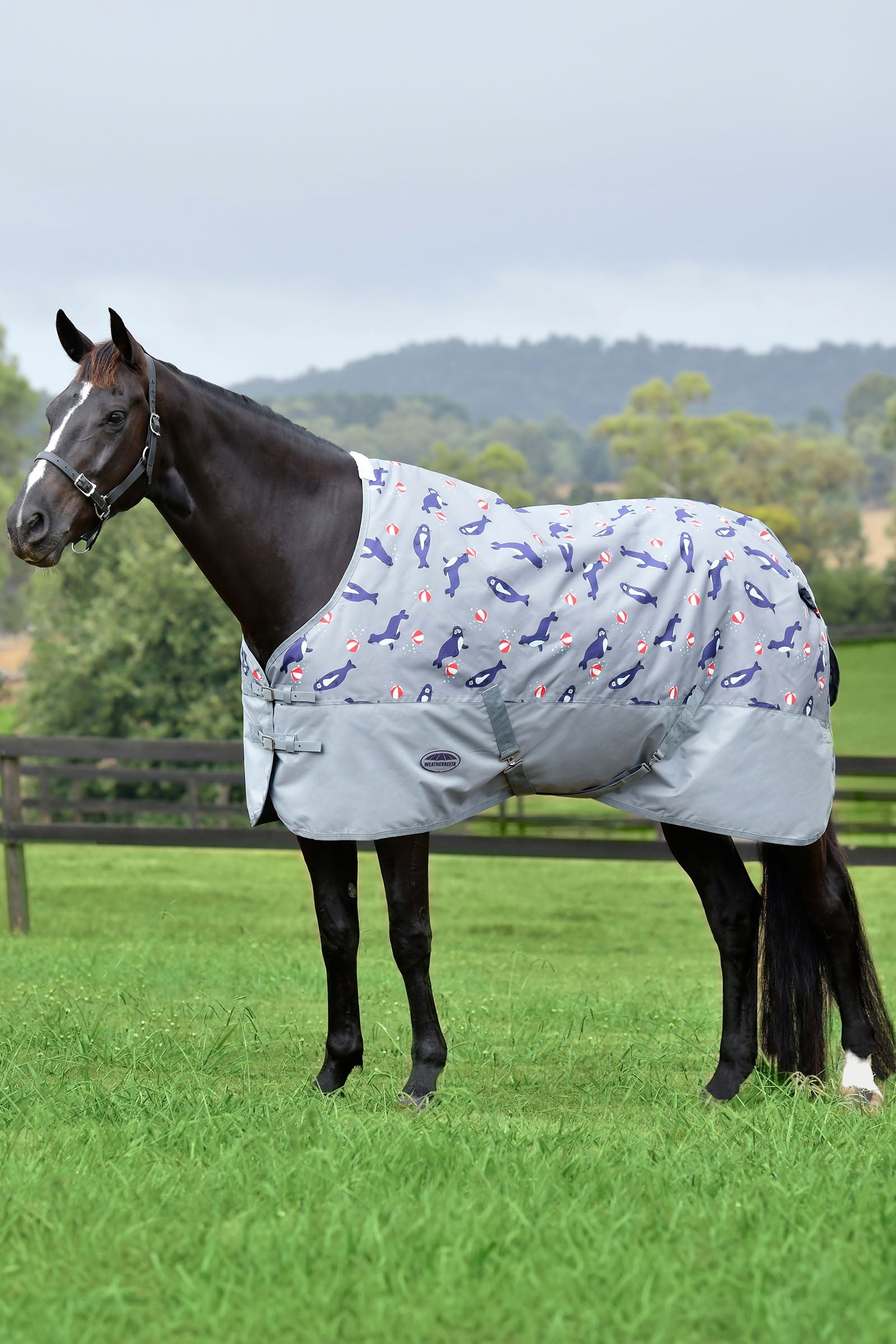 Weatherbeeta Comfitec Tyro met standaard halsuitsnijding Lite Plus, 50g Paardendekens