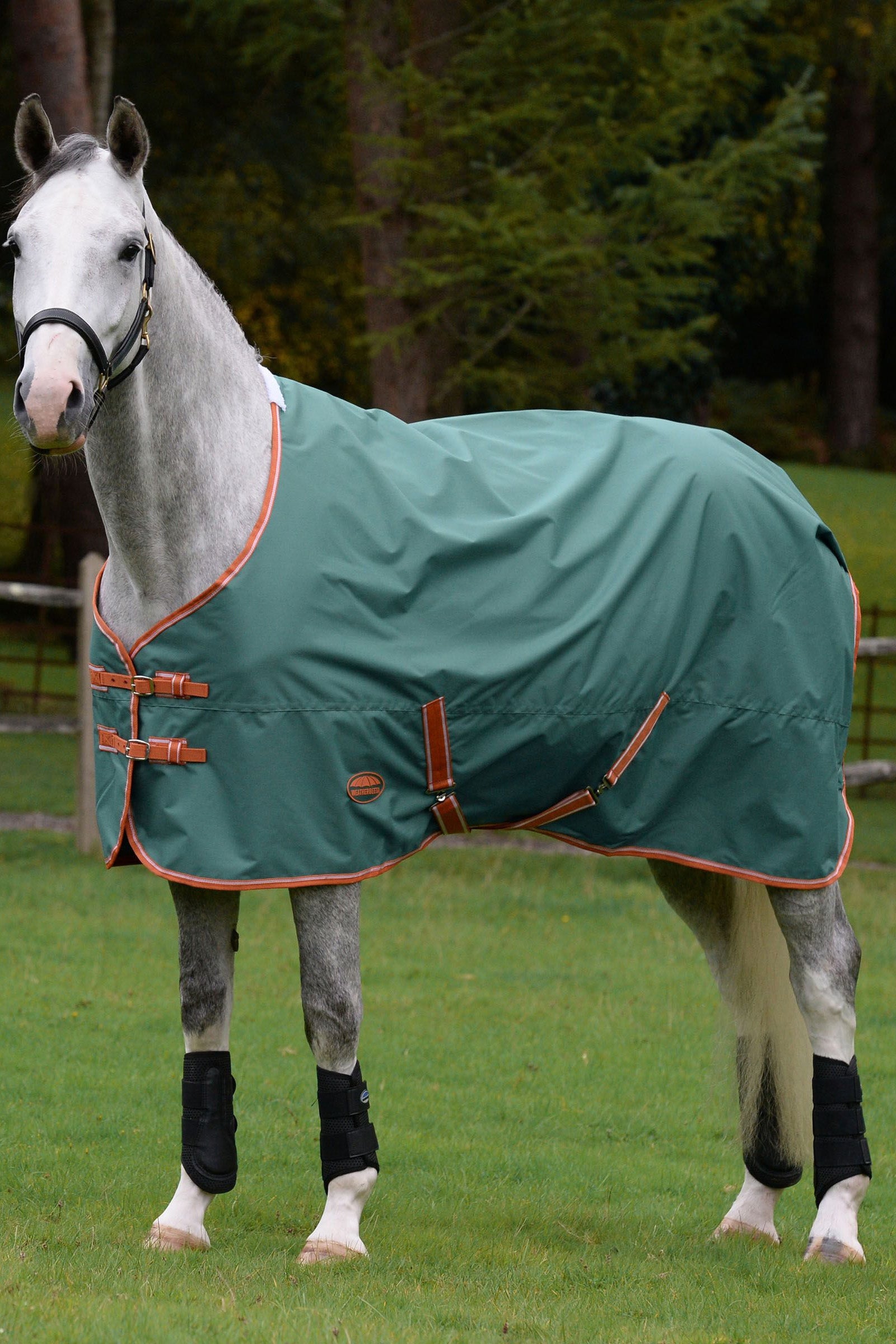 Weatherbeeta Comfitec Tyro Standard Neck Lite Plus, 50g Horse Rugs