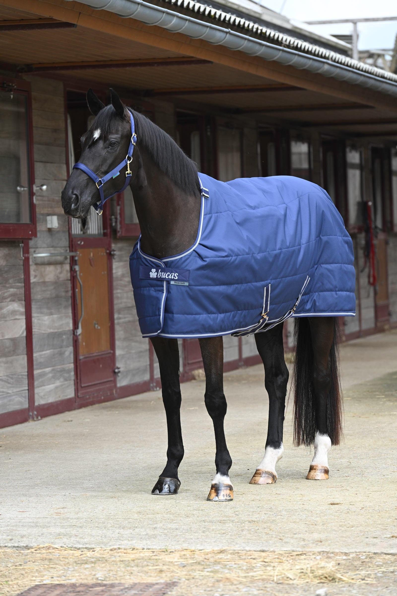 Bucas Quilt Stay-dry, 150g Horse Rugs
