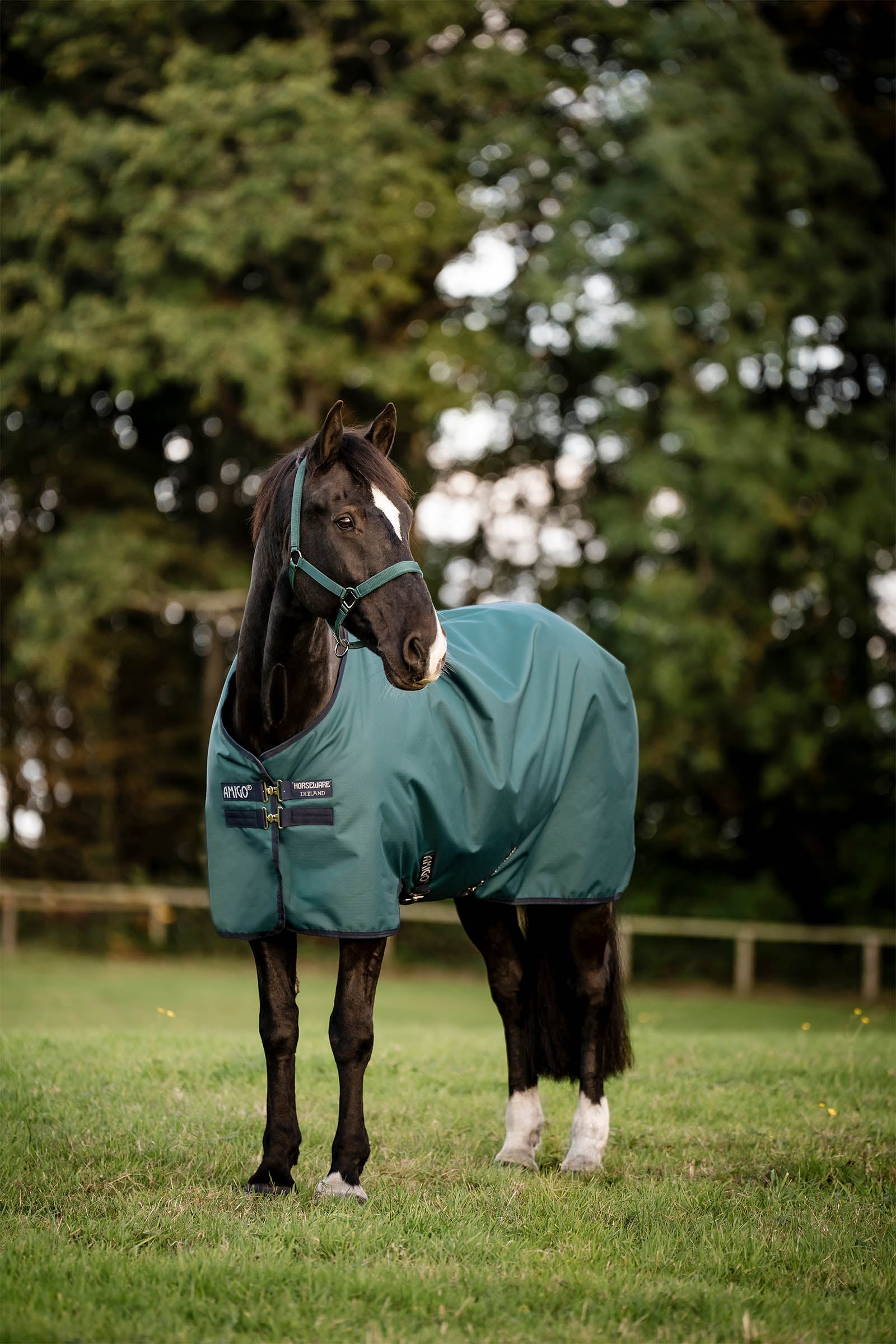 Horseware Amigo Ripstop Outdoordeken 900D, 0g Paardendekens