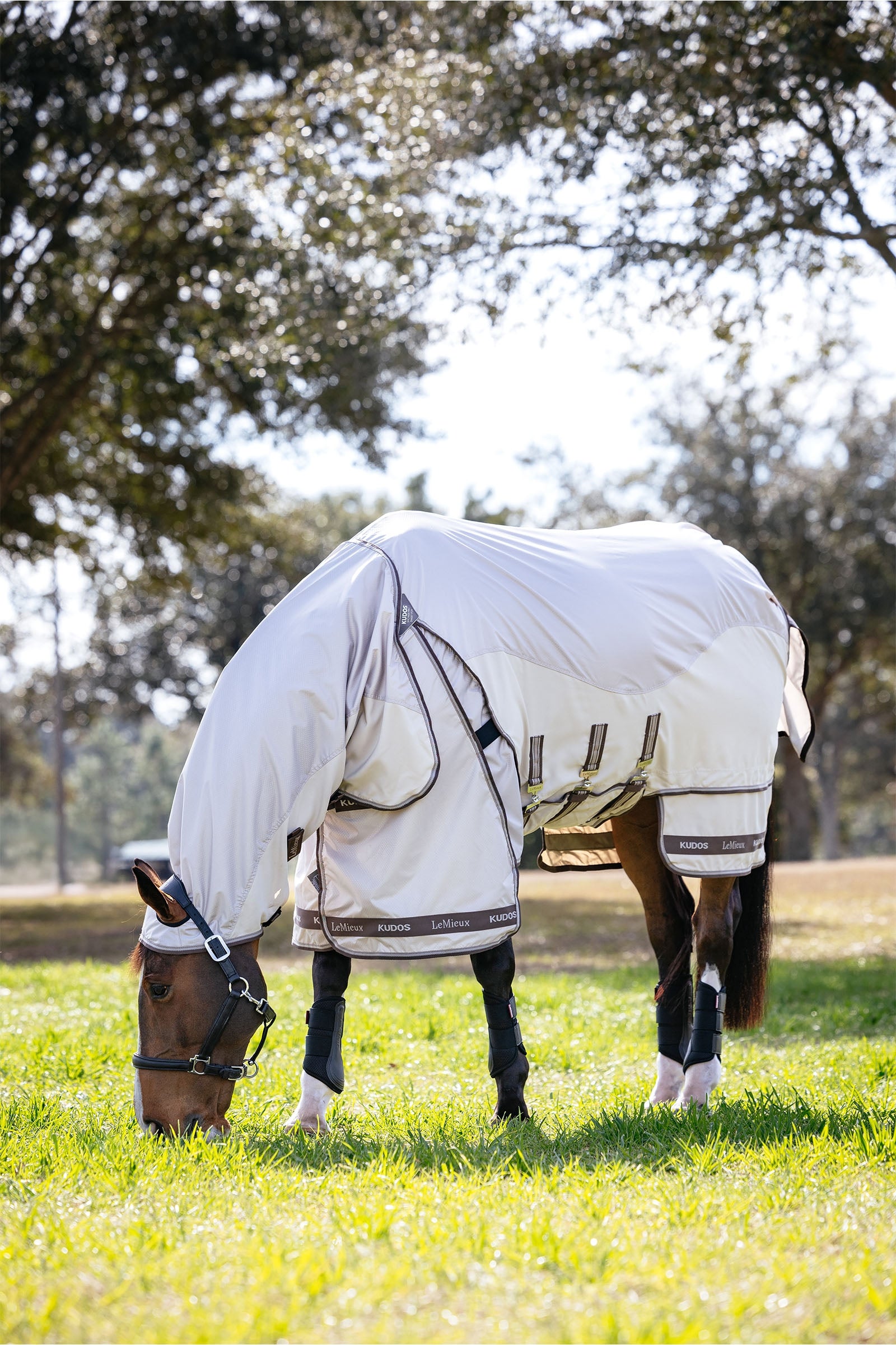 LeMieux Kudos Shower Pro eczeemdeken met afneembaar halsstuk Paardendekens