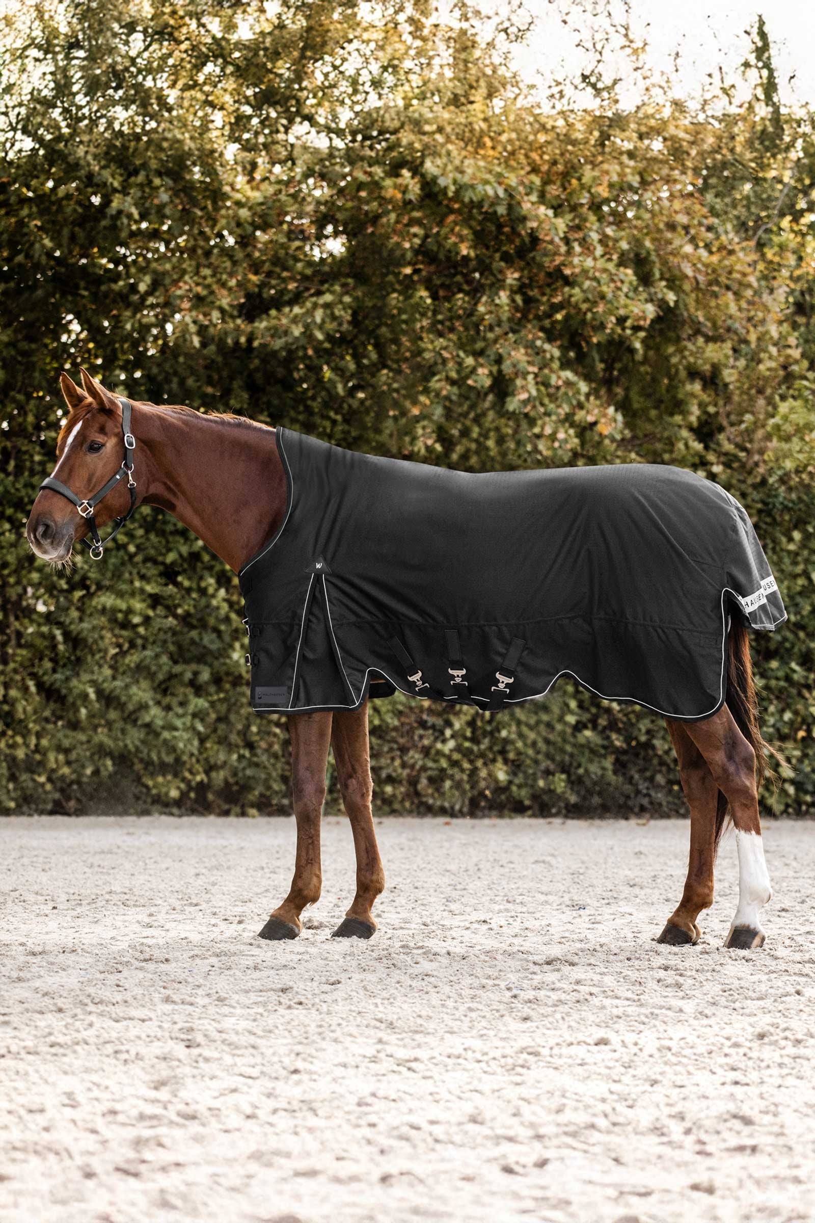 Waldhausen Scandic Outdoordeken met hoge hals, 200 g Paardendekens