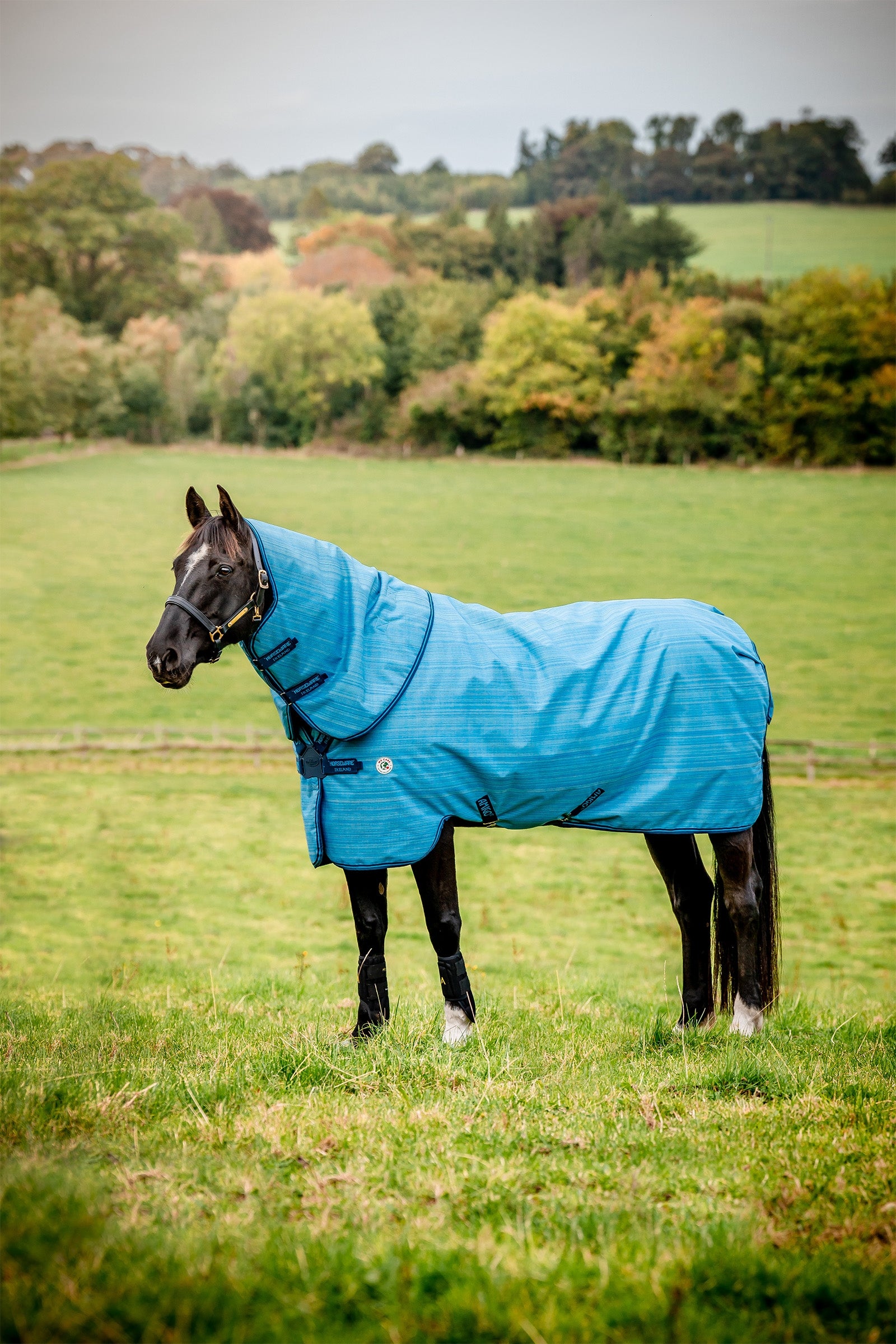 Horseware Amigo Hero 900 Revive Plus regendeken met afneembare hals, 50 g Paardendekens