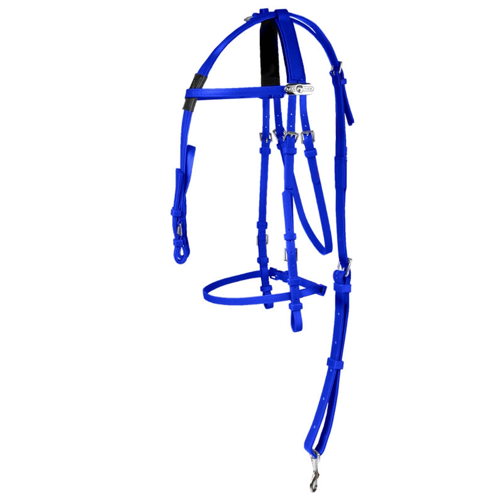 Alt Tag fallback text for IMAGE