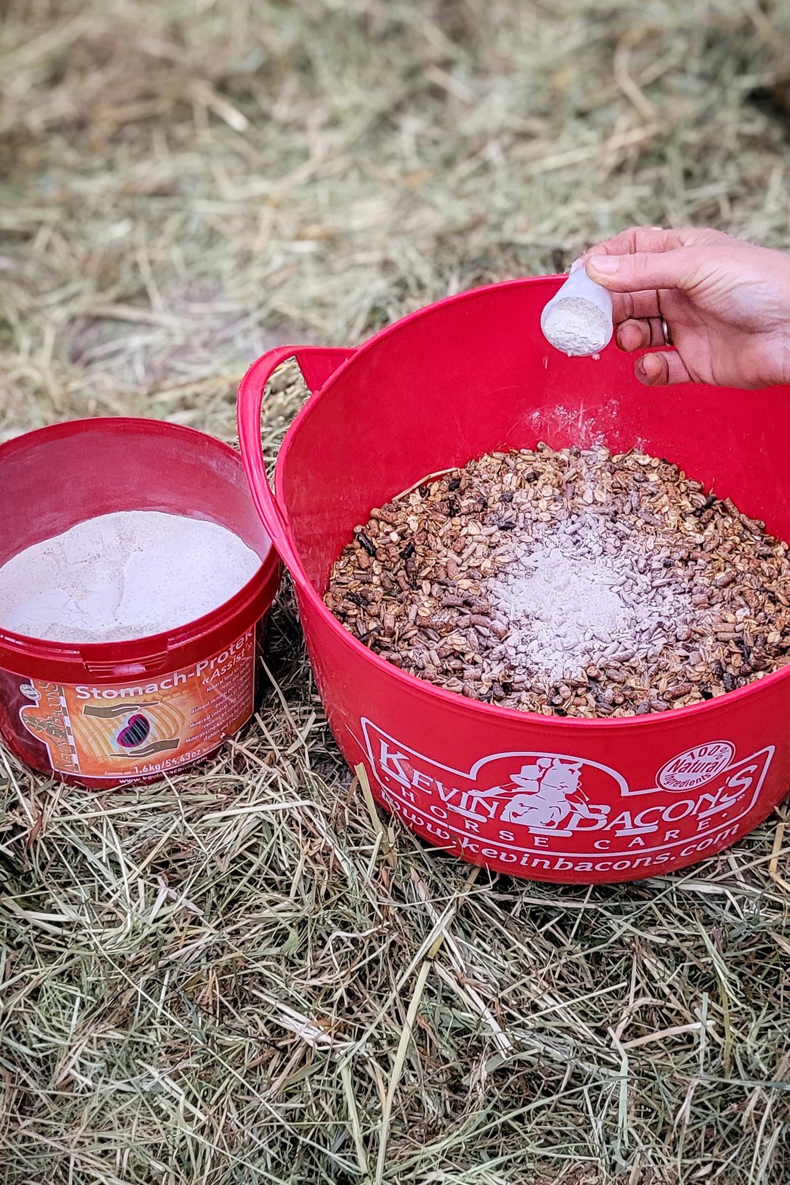 Kevin Bacon´s Kevin Bacon's Stomach-Protek Assist, 1,6 kg Horse Feed & Nutrition