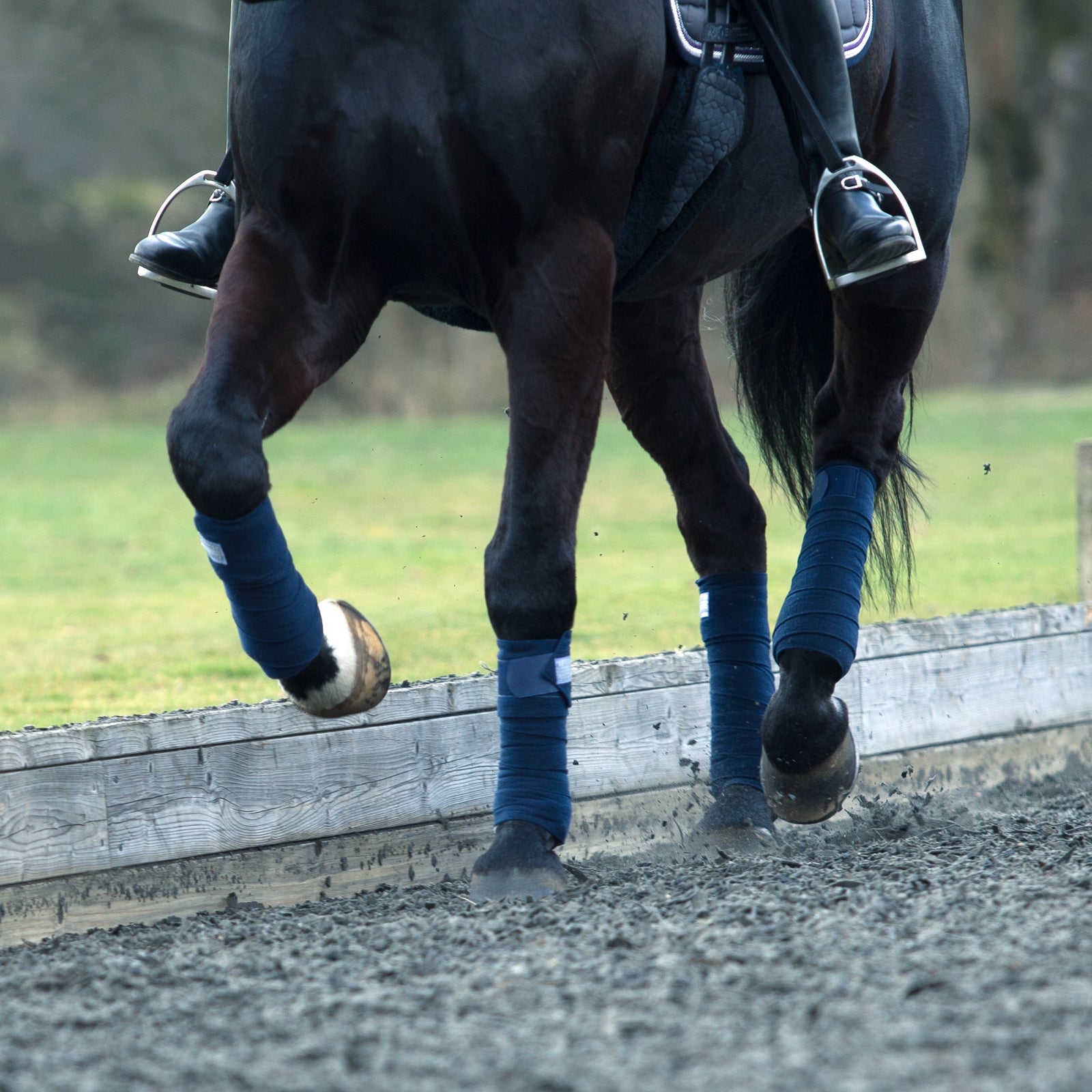 B Vertigo France Stable Bandages Leg & Hoof Protection