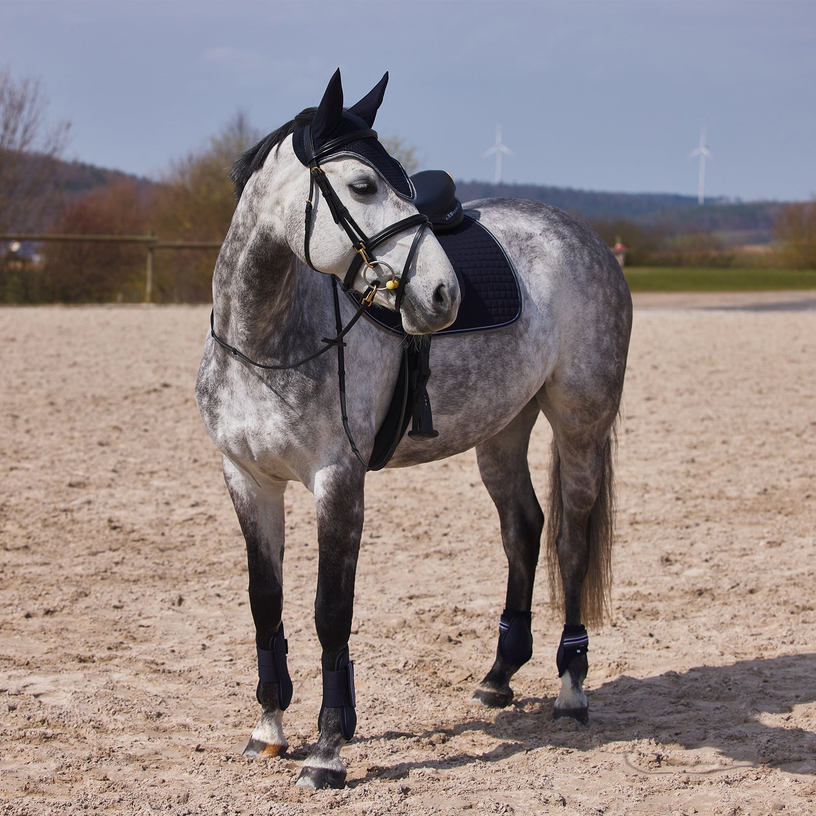 Horze Adepto Tendon Boots Leg Protection & Hoof Protection for Horses