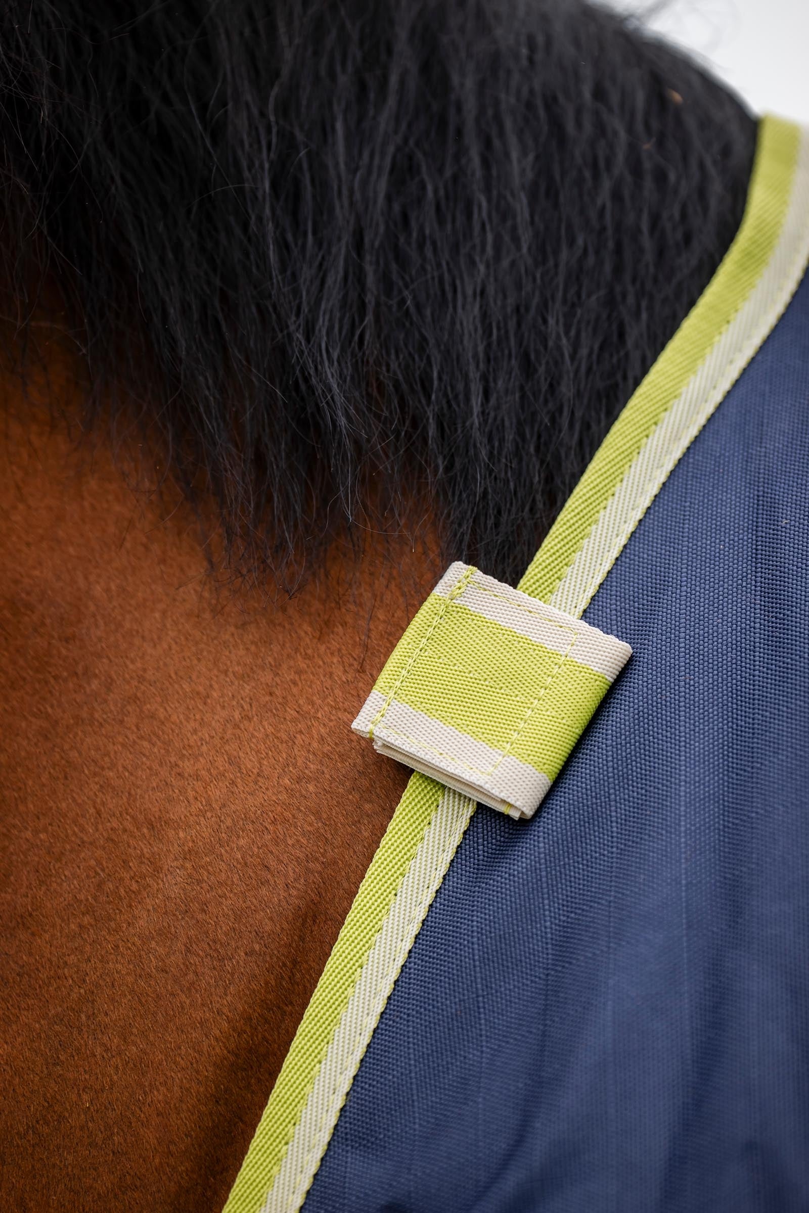 Bucas Oasis Turnout + Neck Set, 200g Horse Rugs