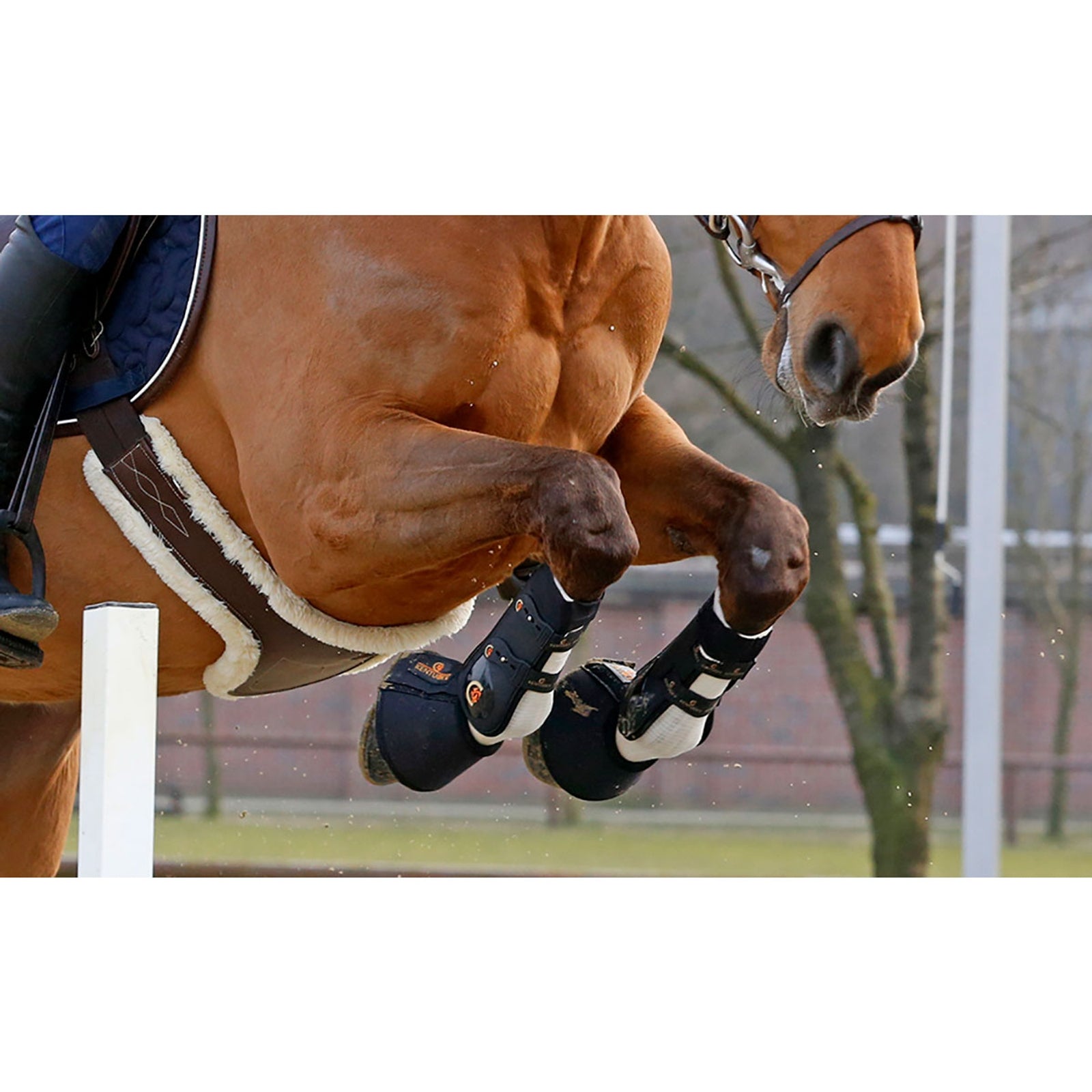 Kentucky Horsewear Tendon Grip Leg & Hoof Protection