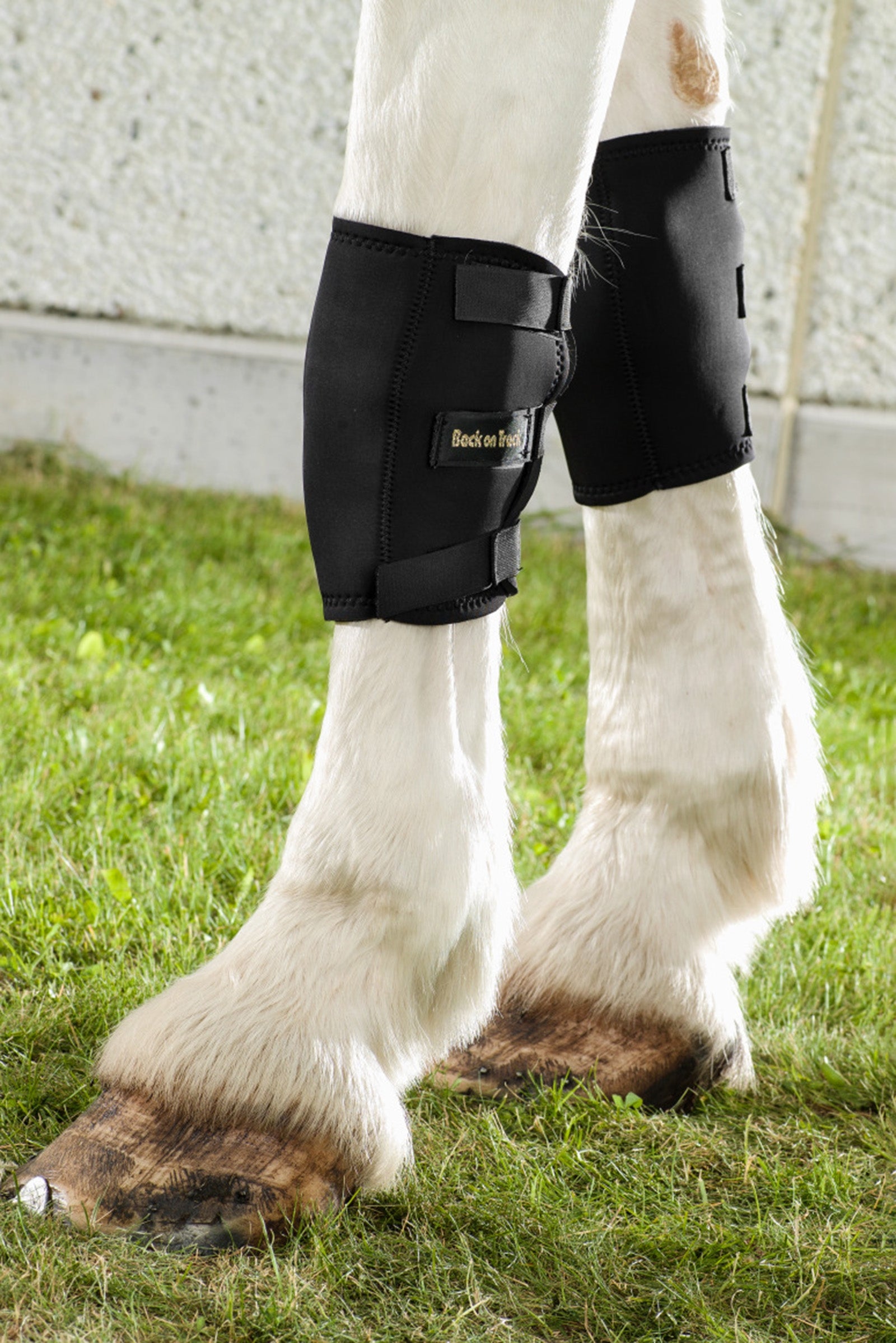 Back on Track Back On Track Knee boot, Left Leg Protection & Hoof Protection for Horses