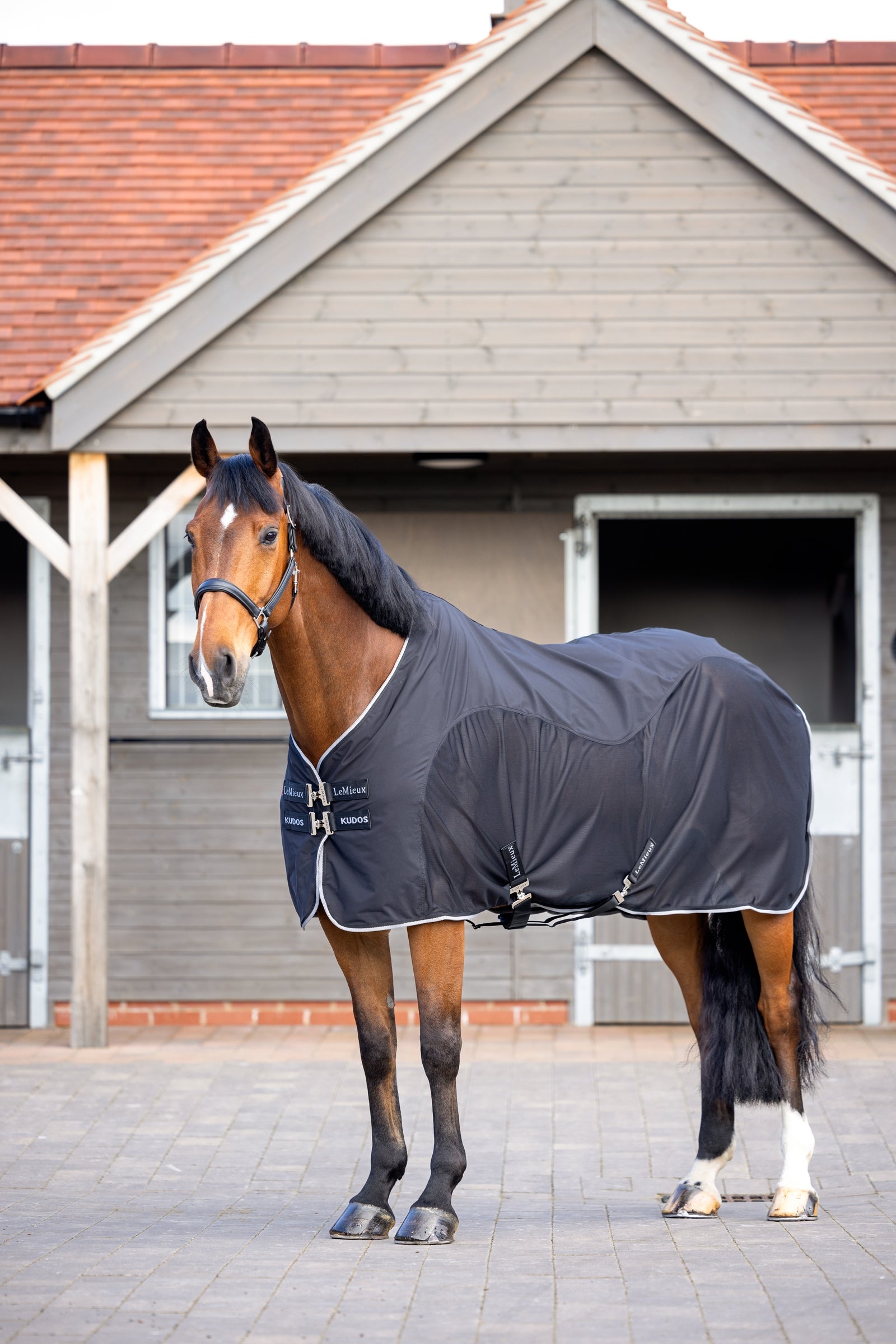 LeMieux Kudos Hybrid Cooler Paardendekens