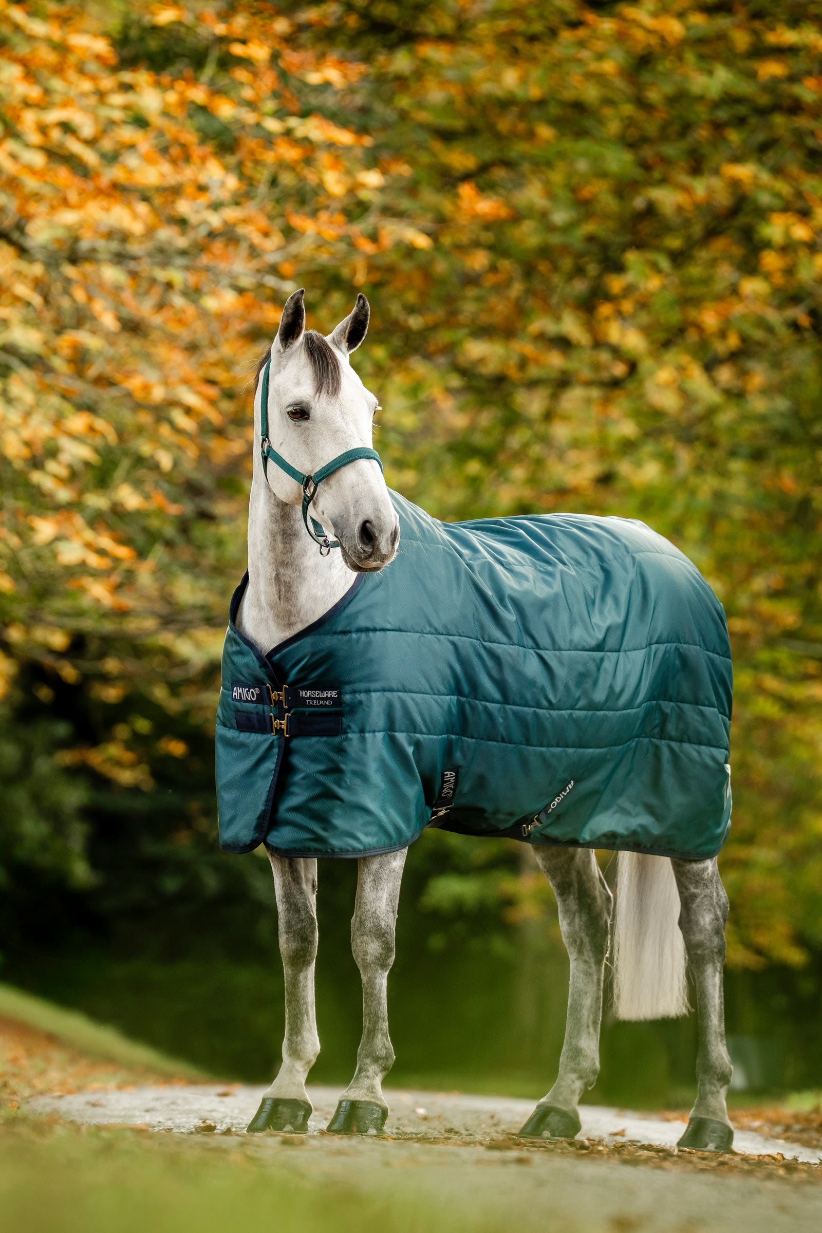 Horseware Amigo Ripstop staldeken met voering, 350 g Paardendekens