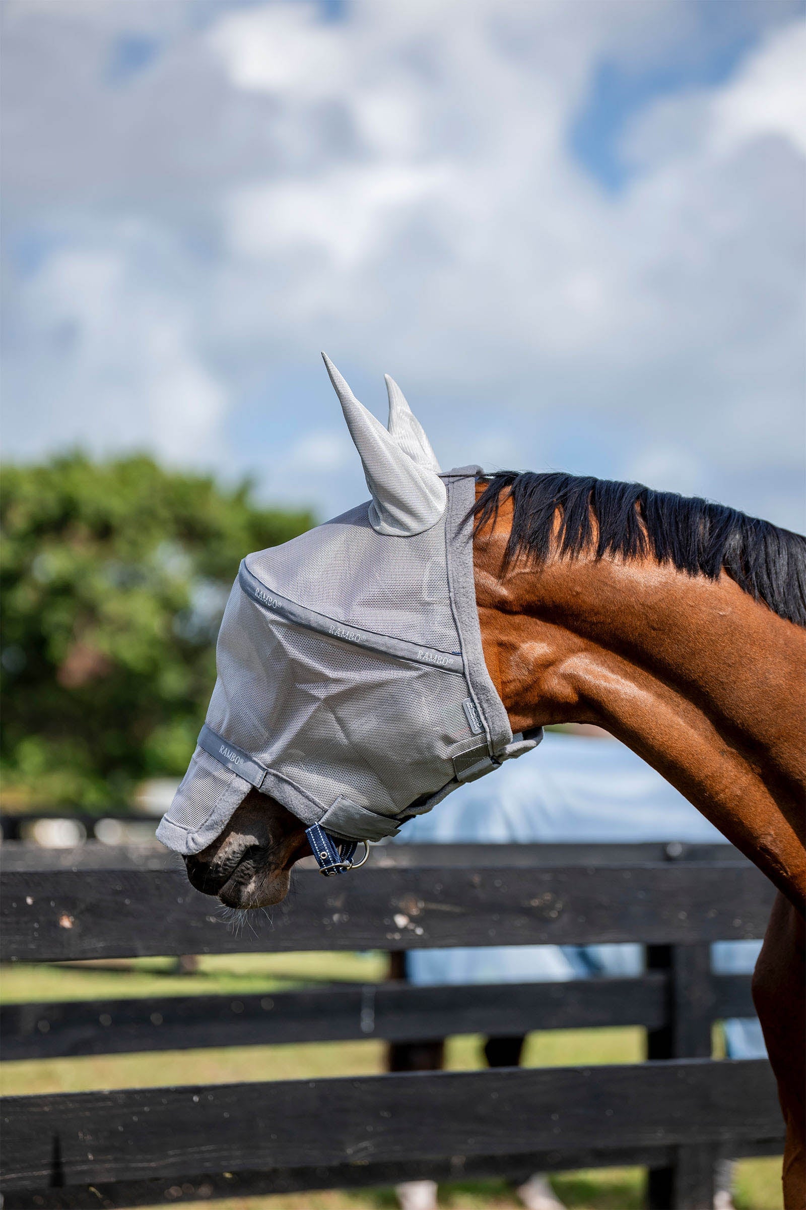 Horseware Rambo Plus Vliegenmasker Vliegenbescherming