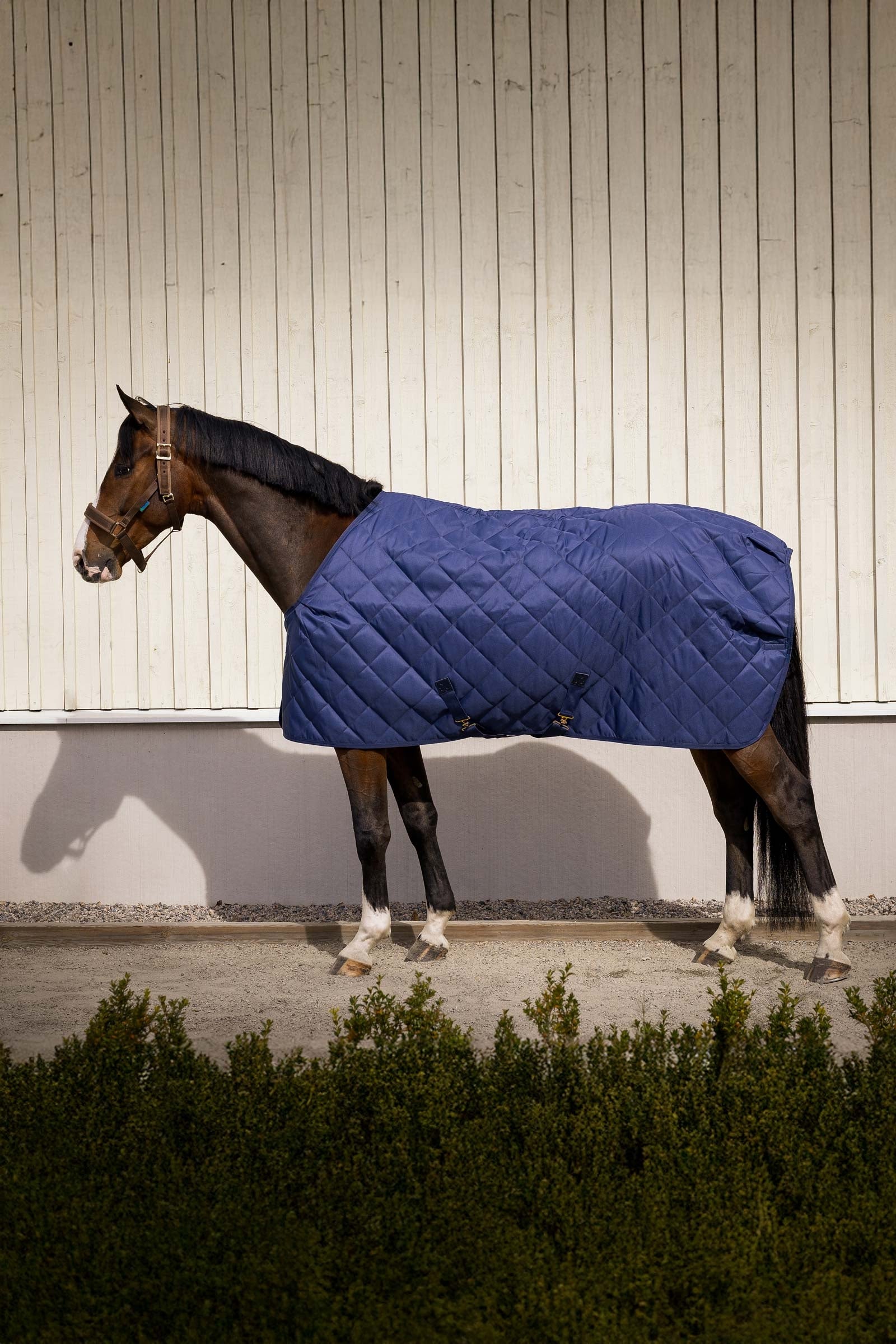 Bucas Cosy Stable Rug Paardendekens