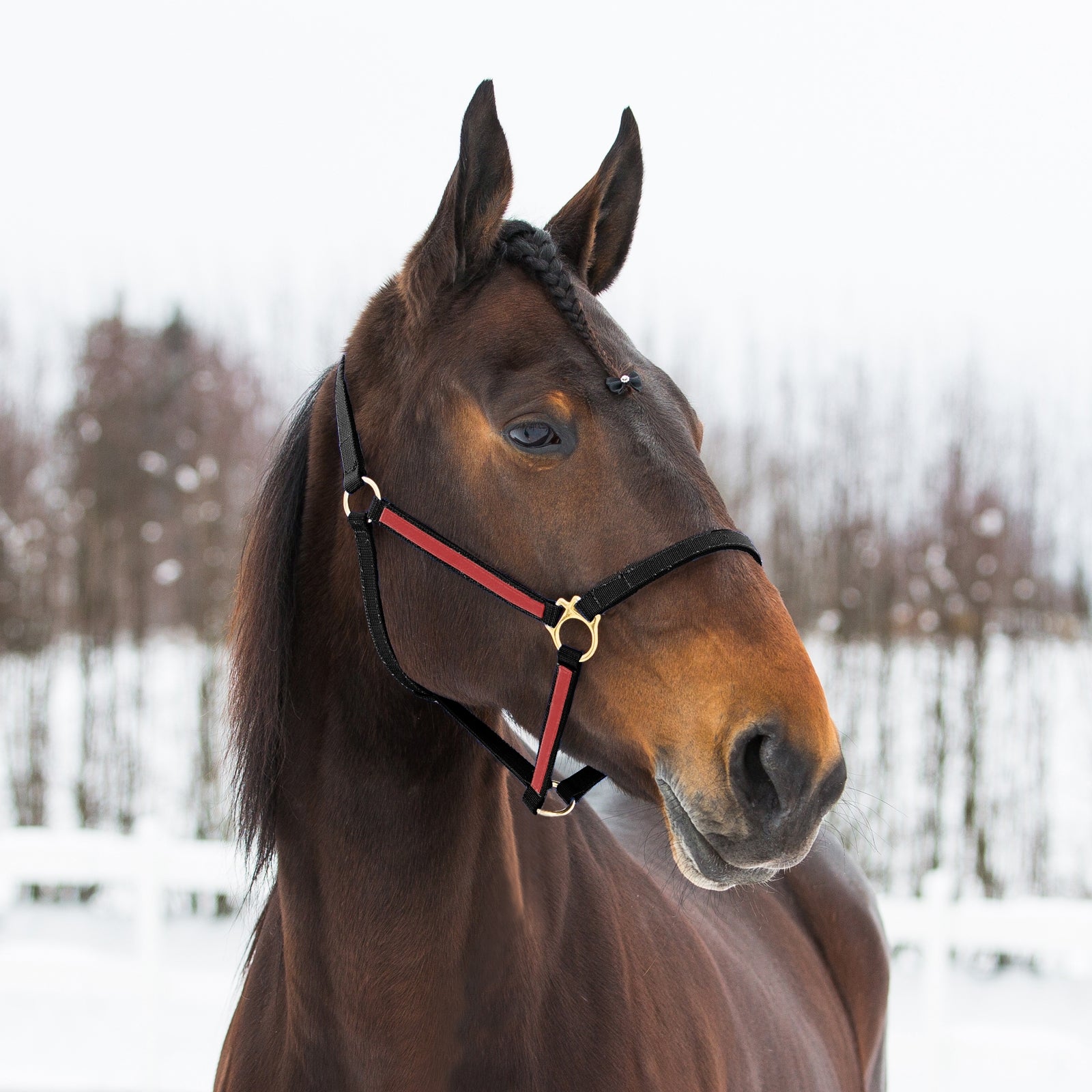 Finntack Pro Synthetic Yankee Nylon Halter Halsters & Halstertouwen