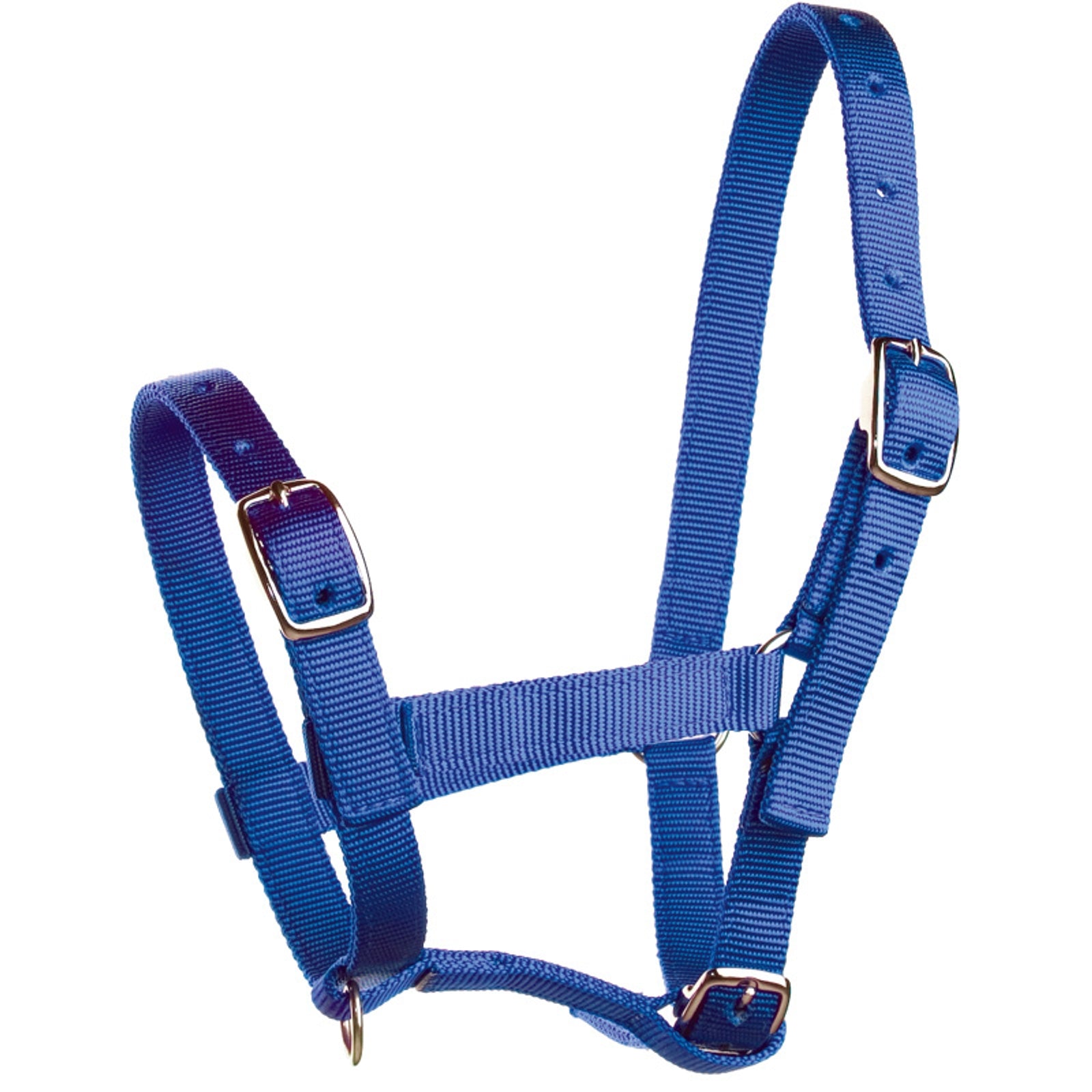 Horze Veulenhalster, nylon Halsters & Halstertouwen
