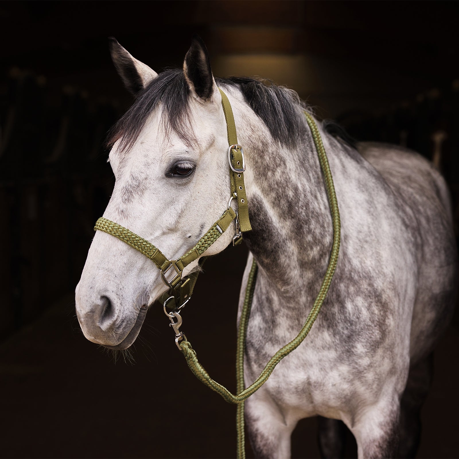 Horze Chicago Halter & Lead Set Halters & Leads