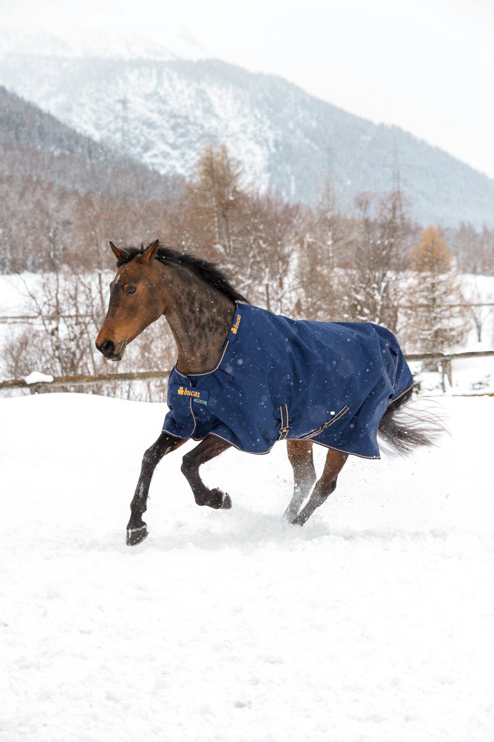 Bucas Irish Turnout Rug, 300g Horse Rugs
