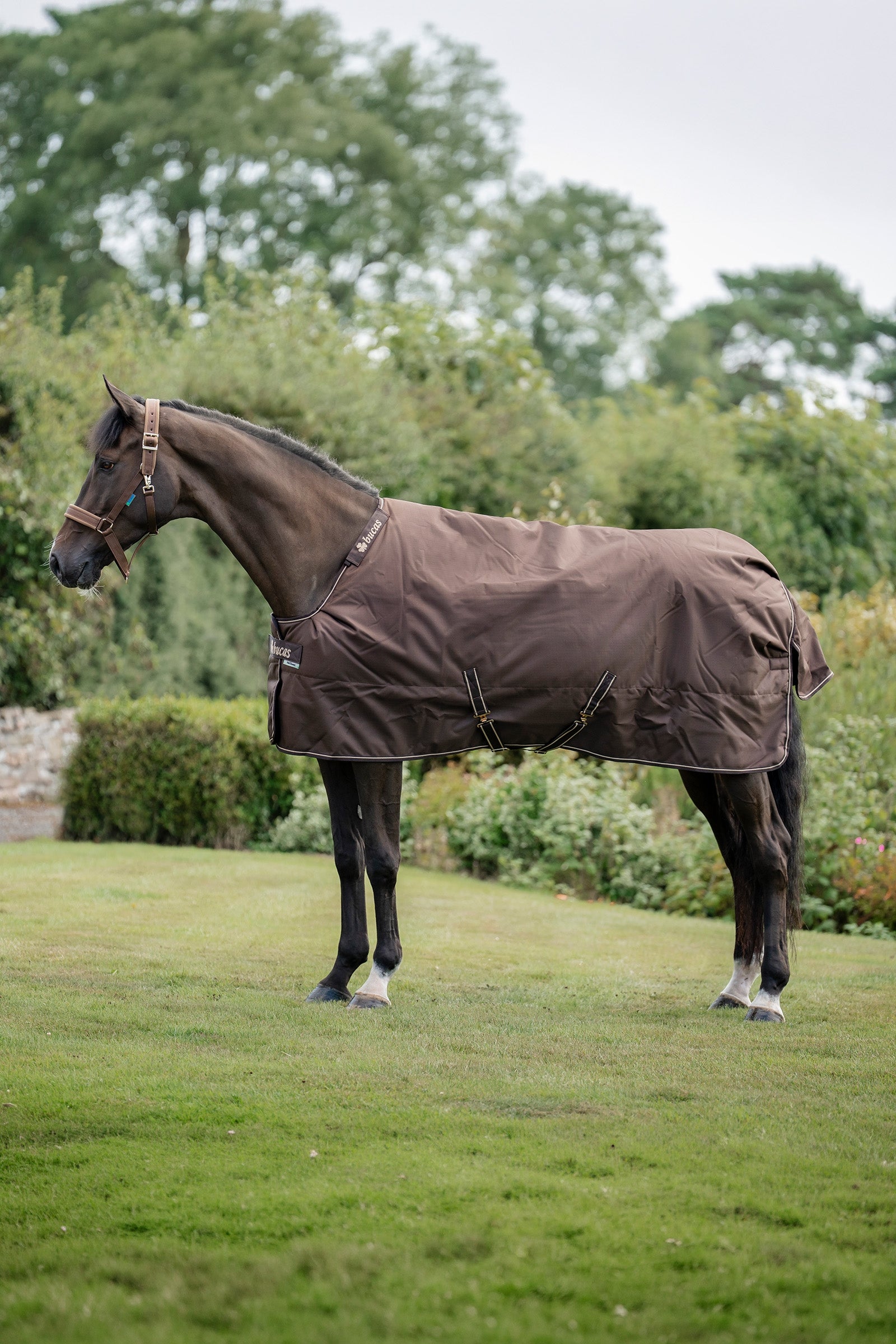 Bucas Irish Turnout Rug, 300g Horse Rugs