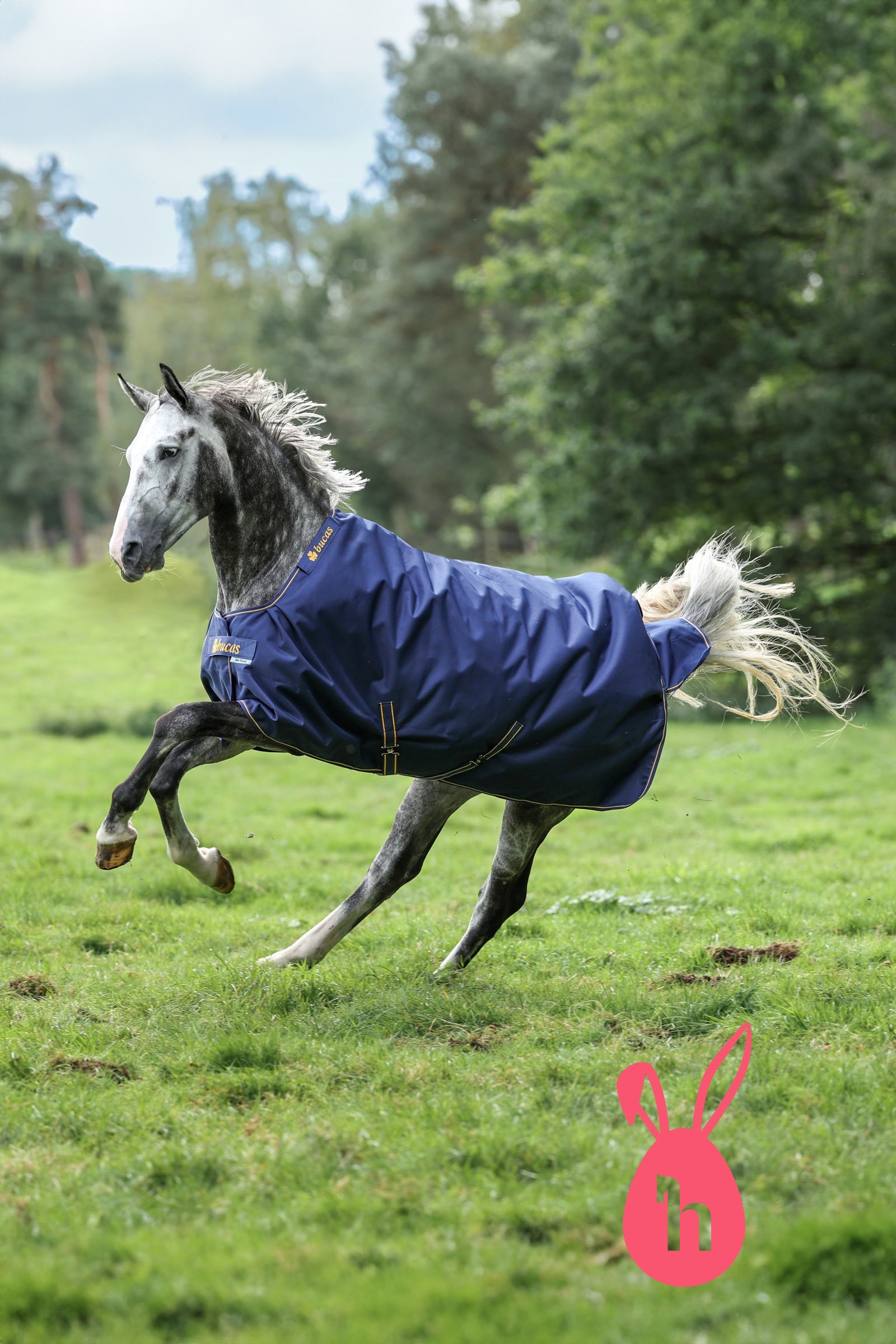 Bucas Irish Turnout Rug, 50g Horse Rugs