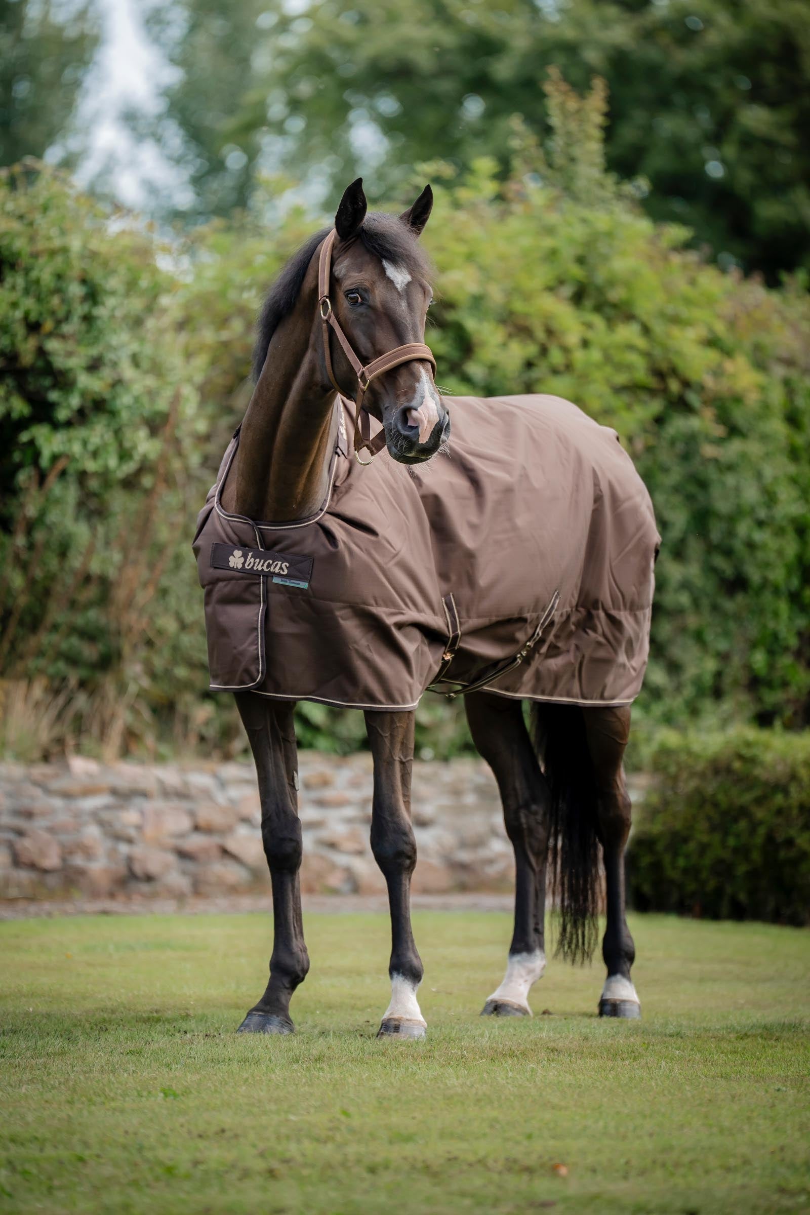 Bucas Irish Turnout Rug, 50g Horse Rugs