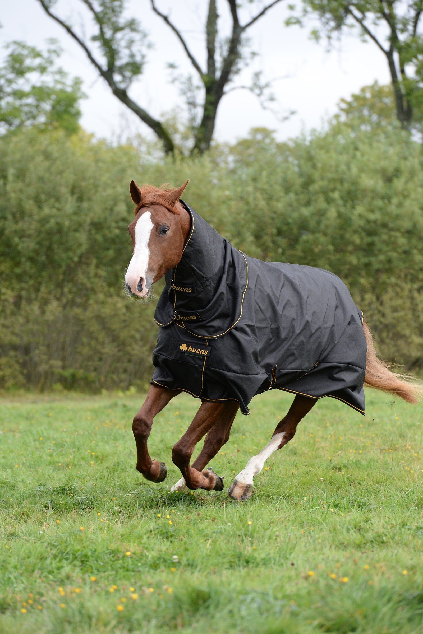 Bucas Irish Turnout Extra Pony Turnout Rug, 300g Horse Rugs