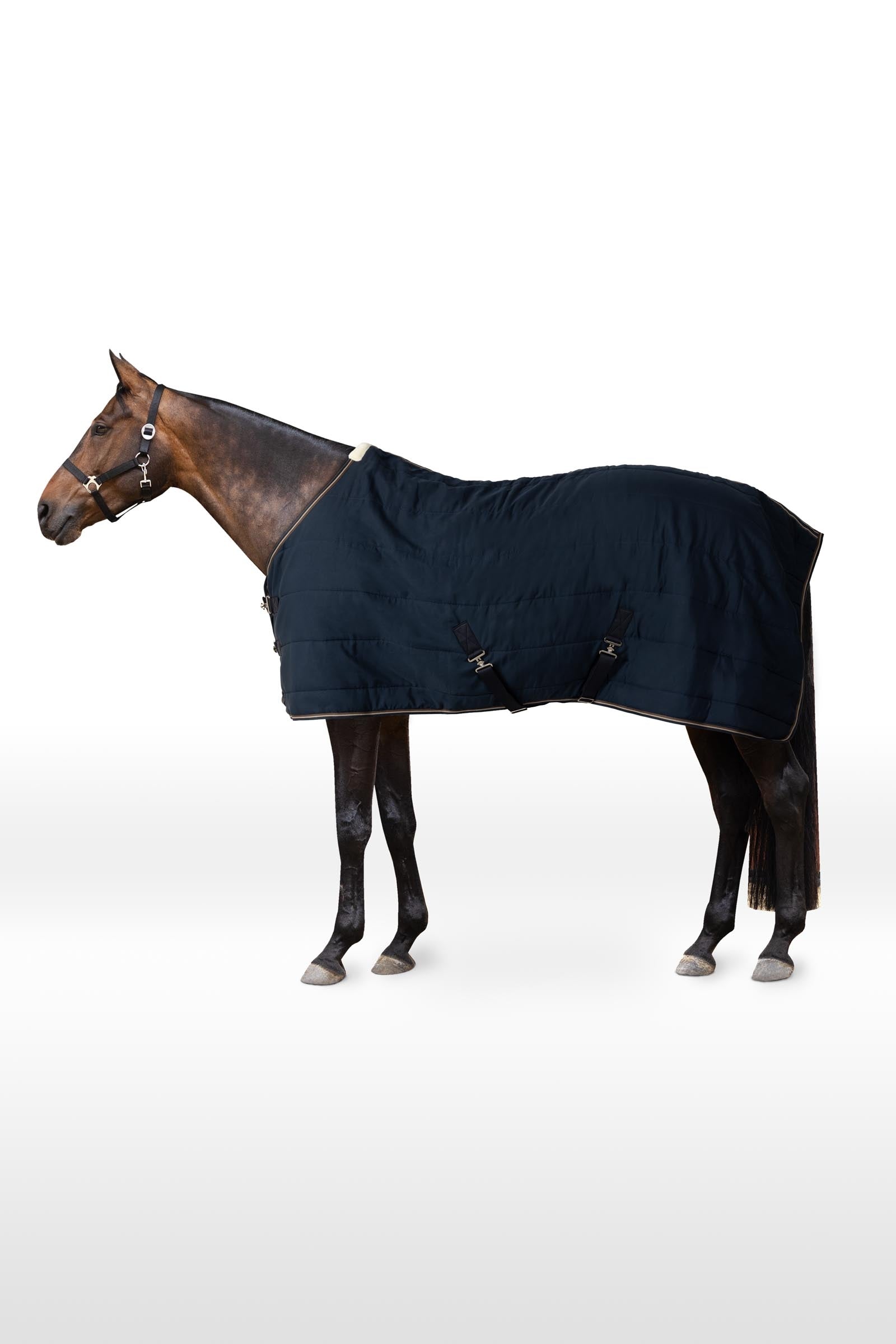 Horze Glasgow Staldeken / Onderdeken, 200 gram Paardendekens