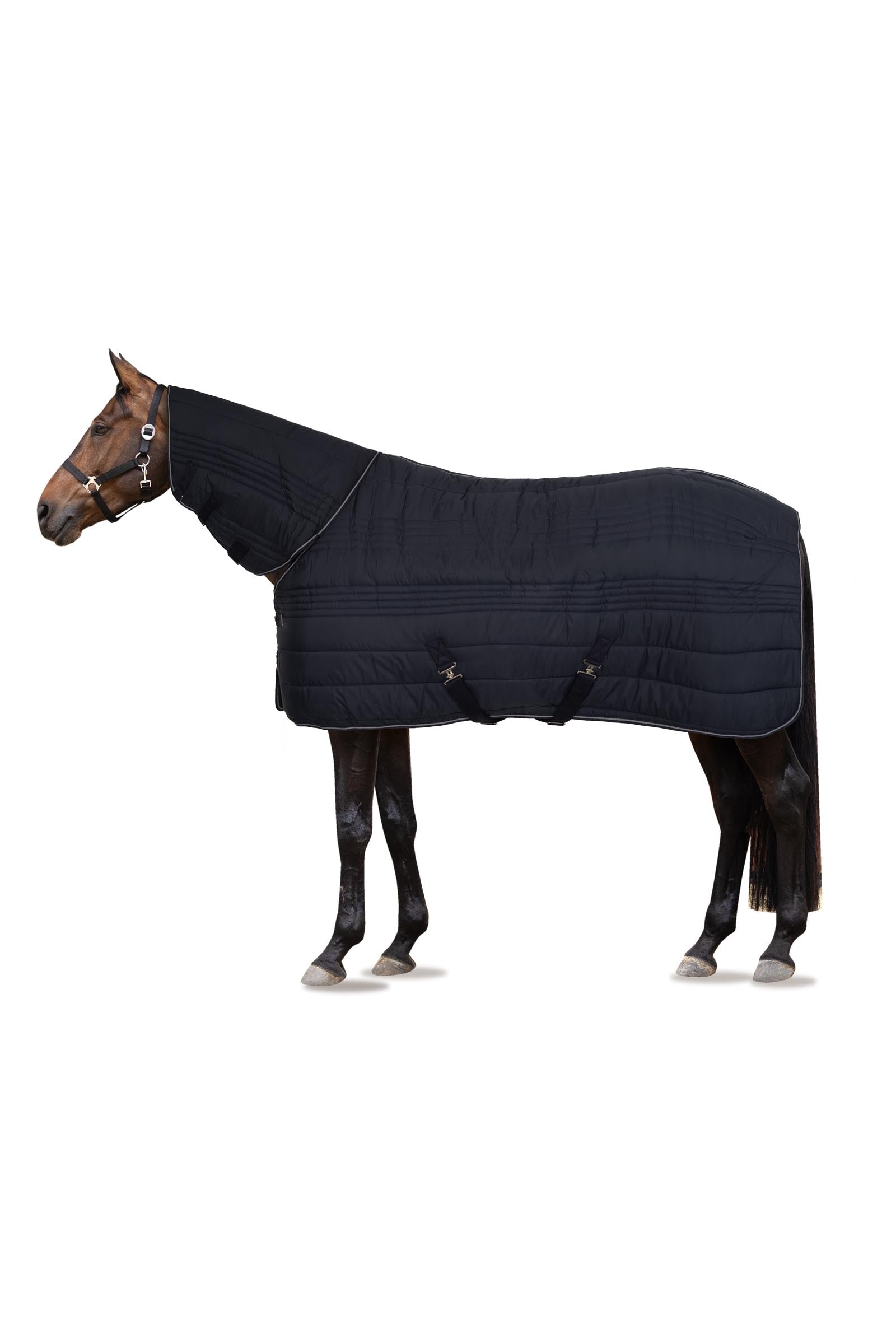 Horze Kingsley Combo Staldeken met hals, 300 grams Paardendekens