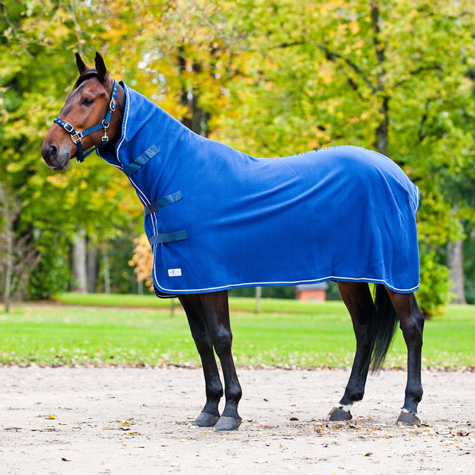 Finntack High Neck cooler rug II Paardendekens