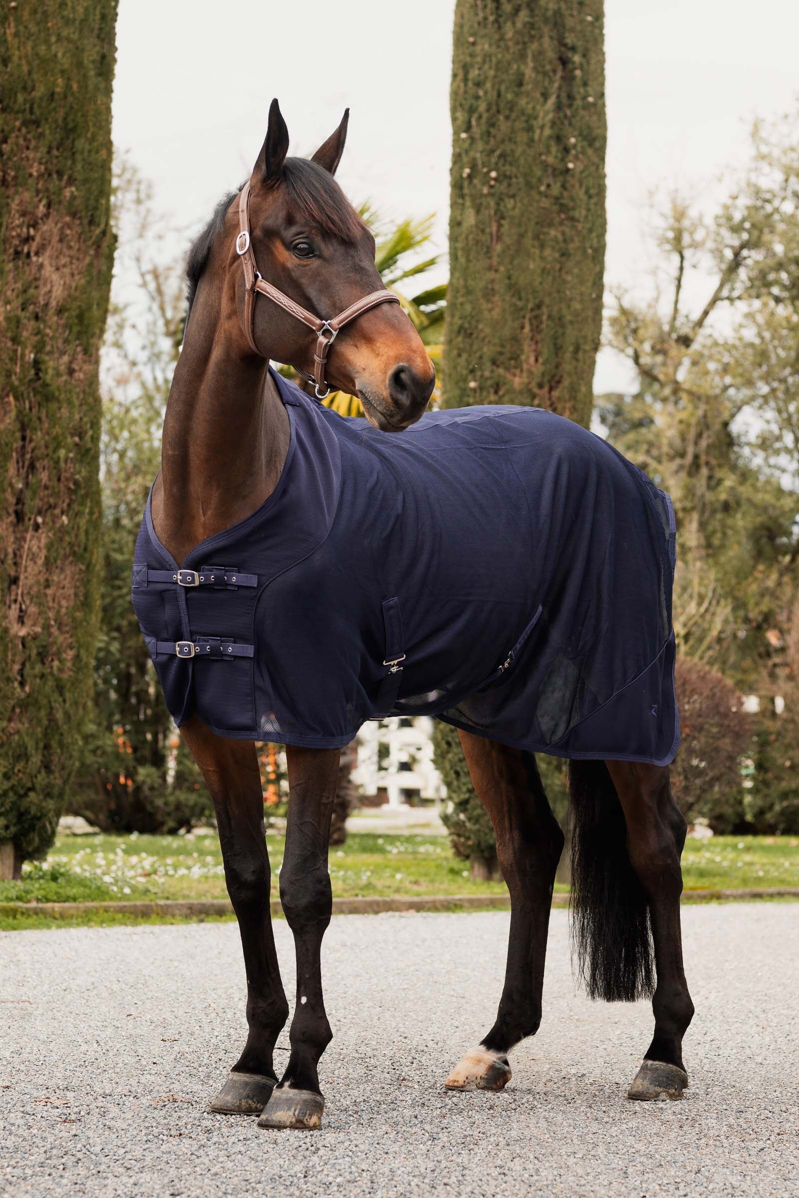 Horze Turin Mesh Cooler Rug Horse Rugs