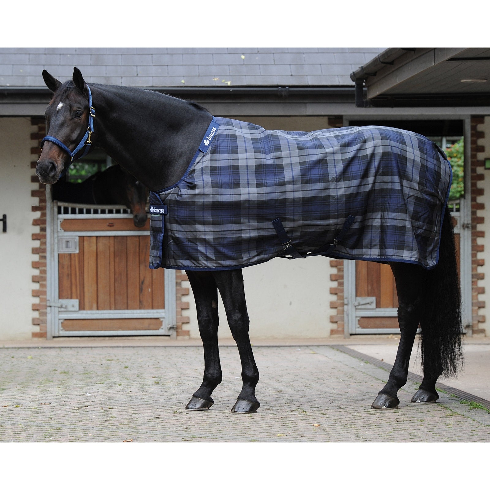 Bucas Celtic Stable Extra rug Horse Rugs