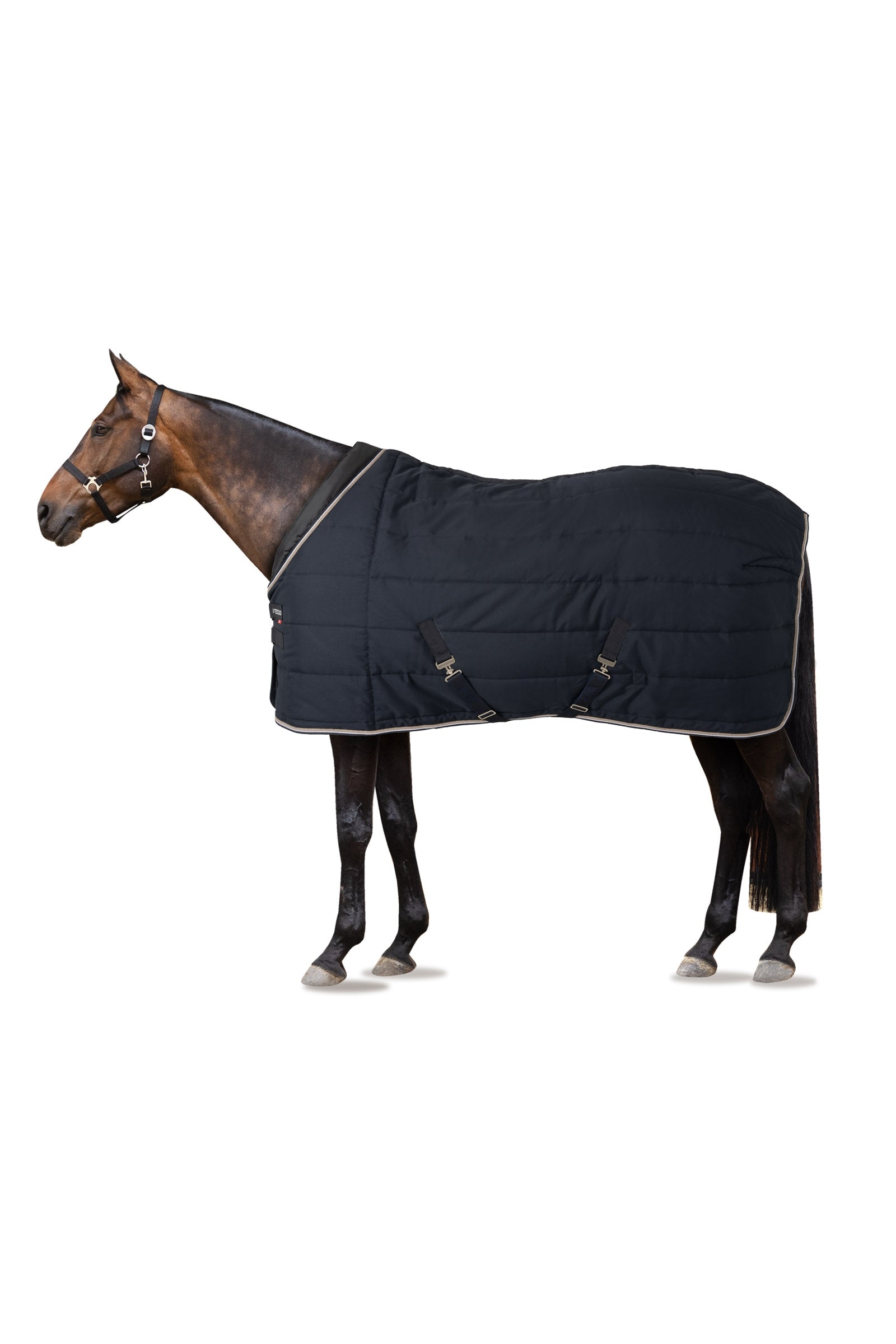 B Vertigo Tim Staldeken, 400 gram Paardendekens