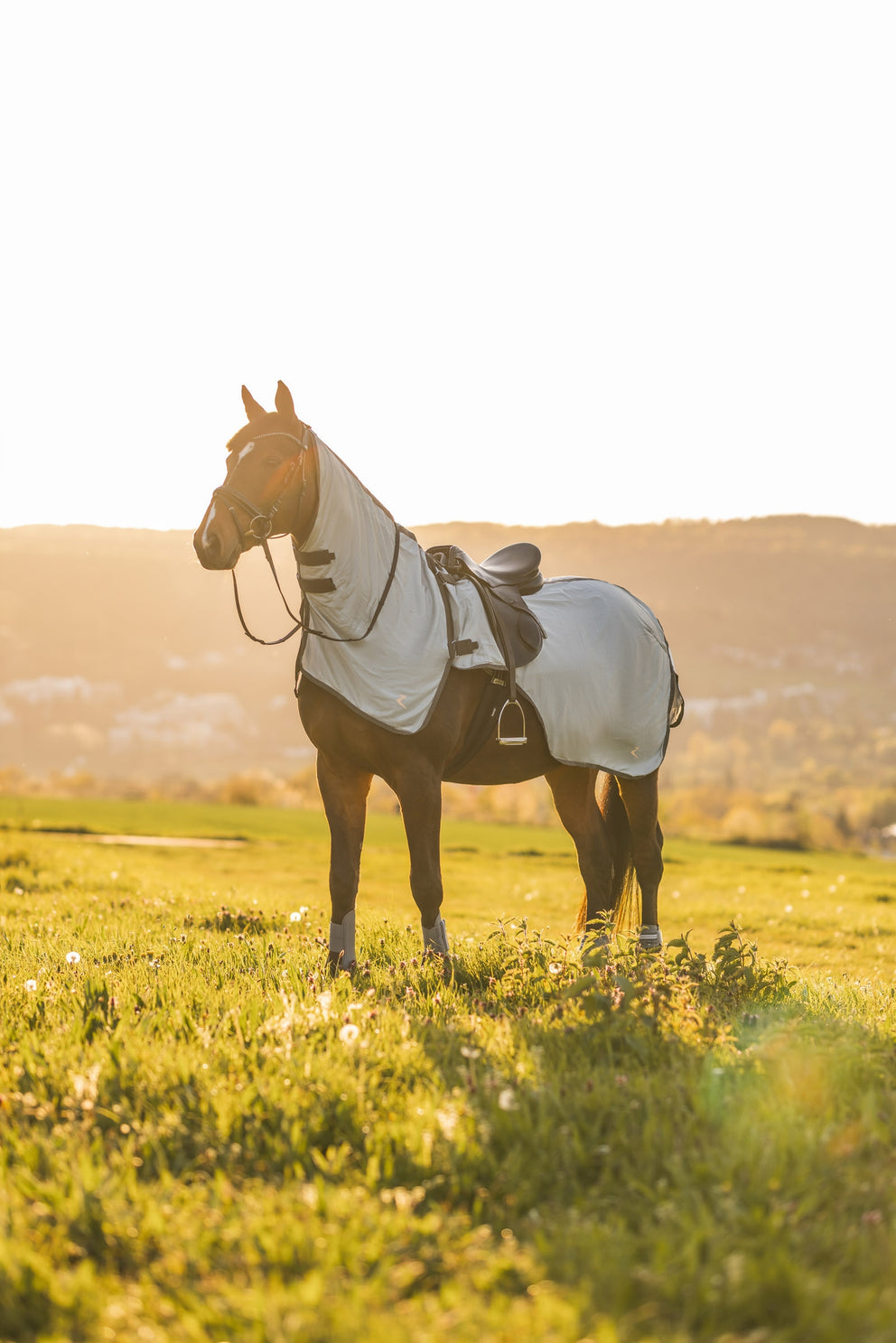 Nieuw Profi-Rider Regendeken afneembare Hals 175 215 OP=OP Nieuw Profi-Rider Regendeken afneembare Hals 175 215 OP=OP