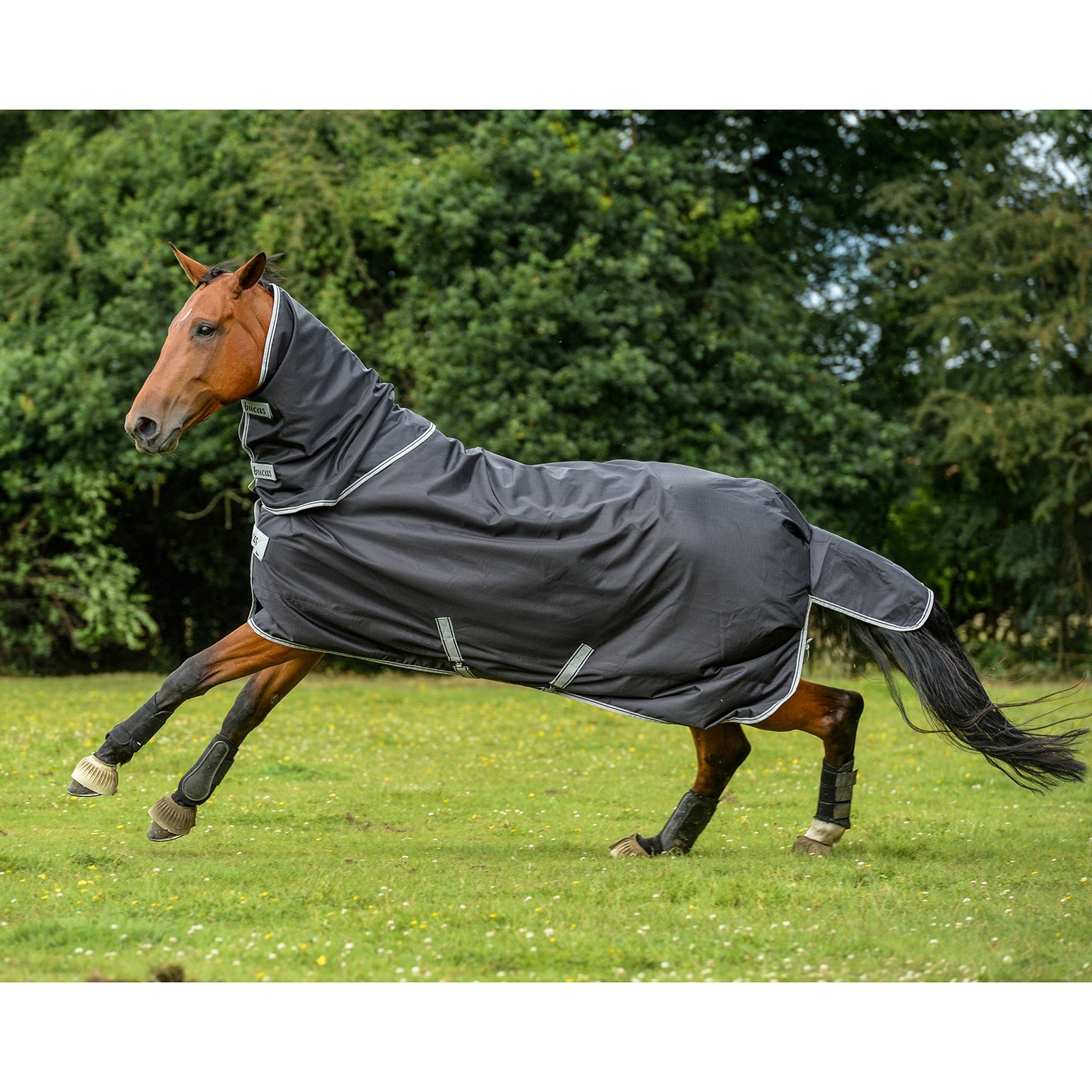 Bucas Smartex Hals, 0 g Paardendekens