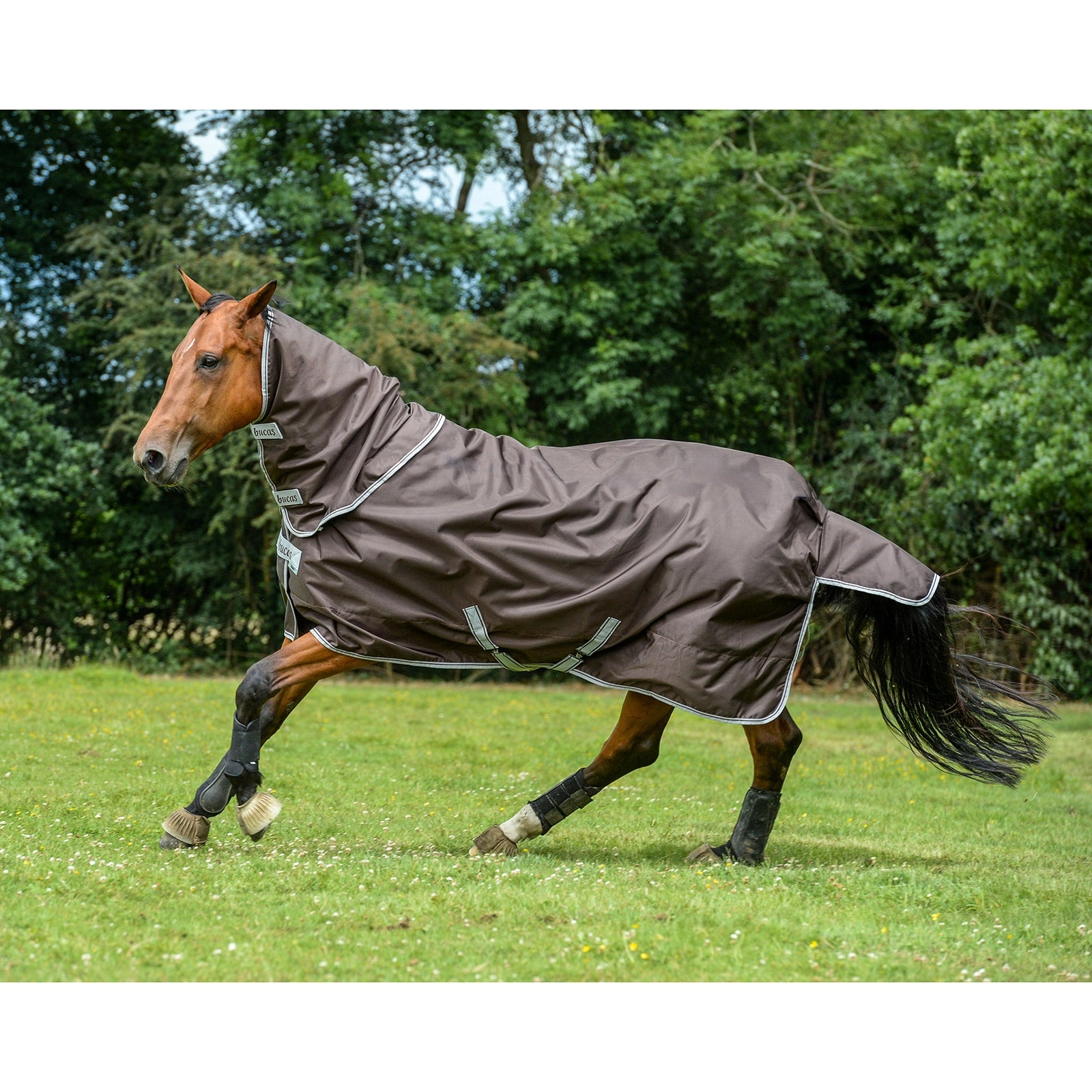 Bucas Smartex Hals, 0 g Paardendekens
