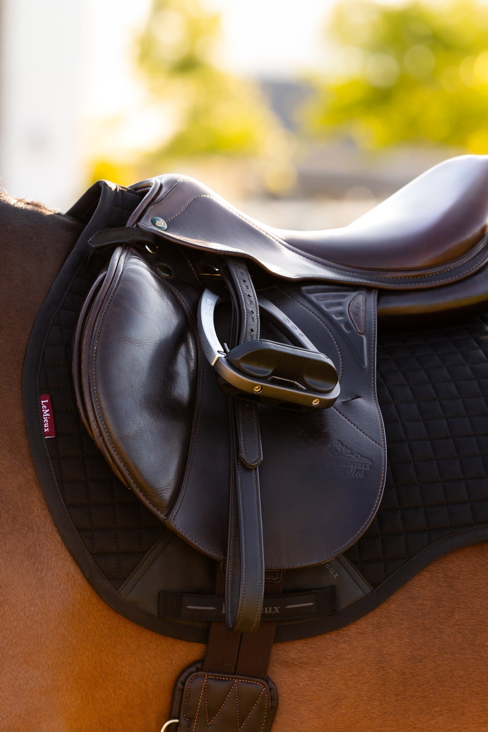 LeMieux Cotton GP Square Saddle Pad Saddle Pads