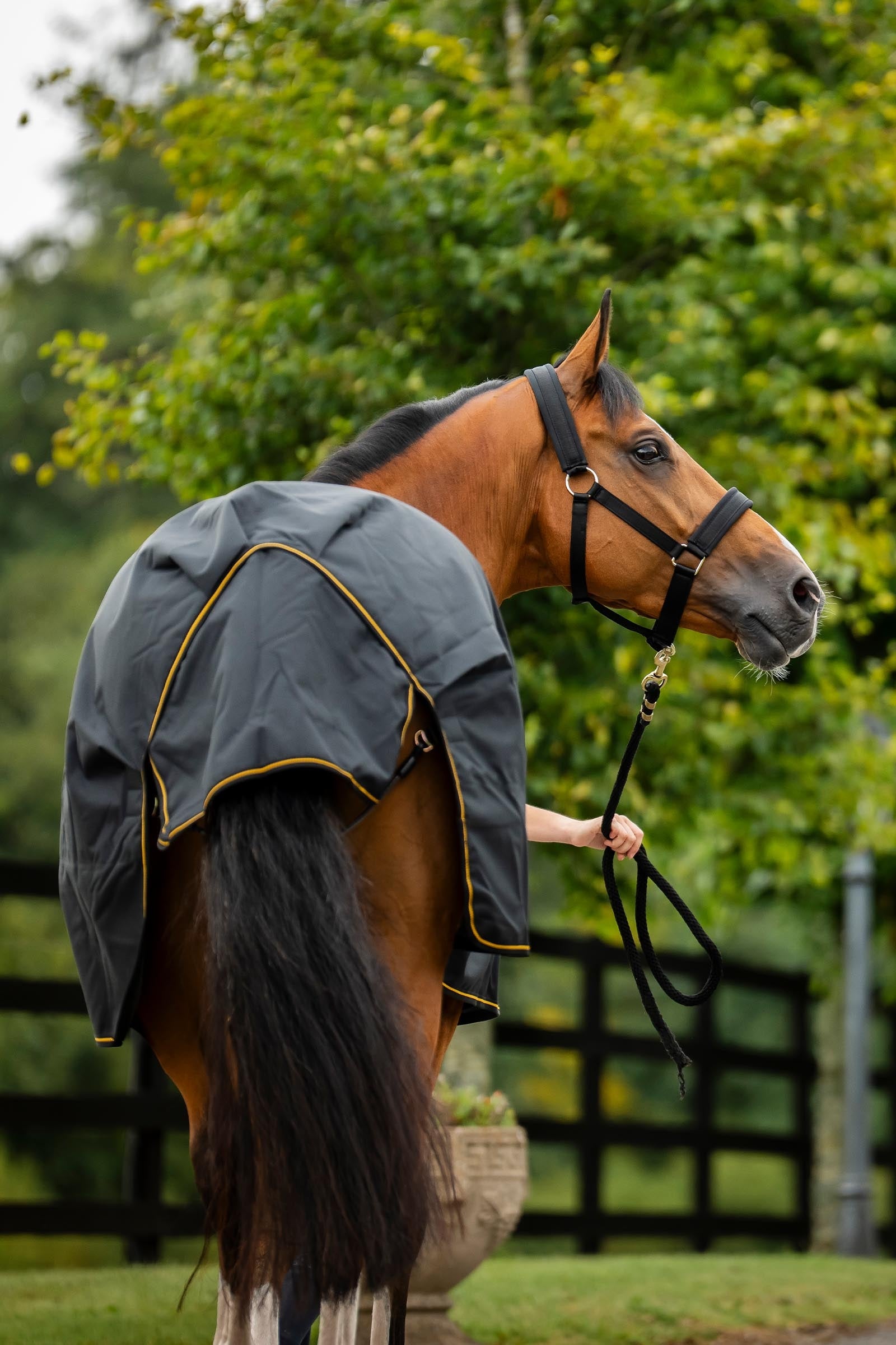 Bucas Irish Turnout Rug, 250g Horse Rugs