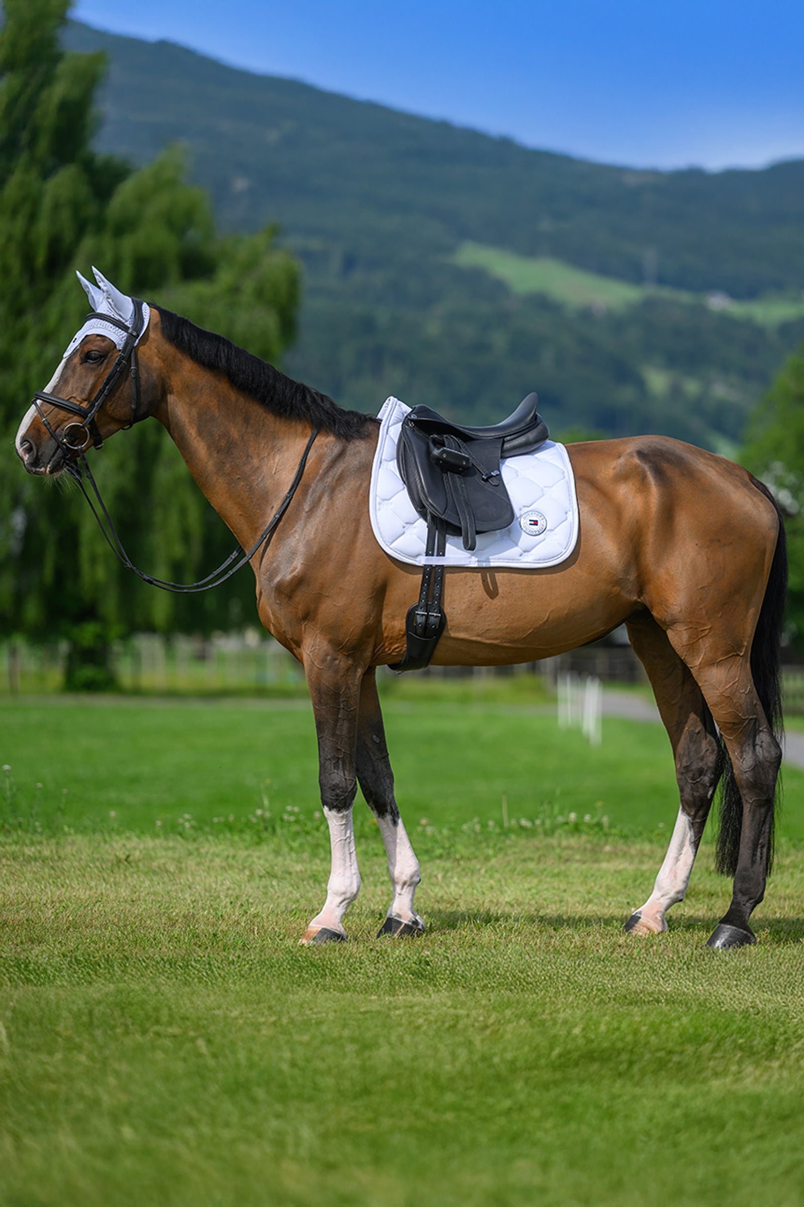 Tommy Hilfiger Equestrian Liberty Dressage Saddle Pad Saddle Pads