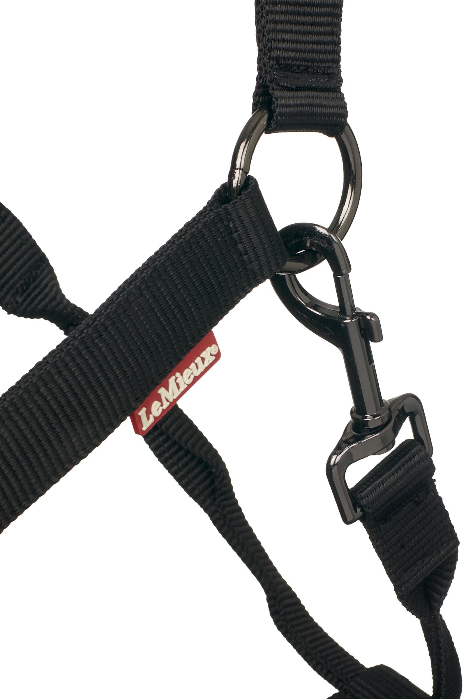 LeMieux ProSafe Head Collar Halters & Leads