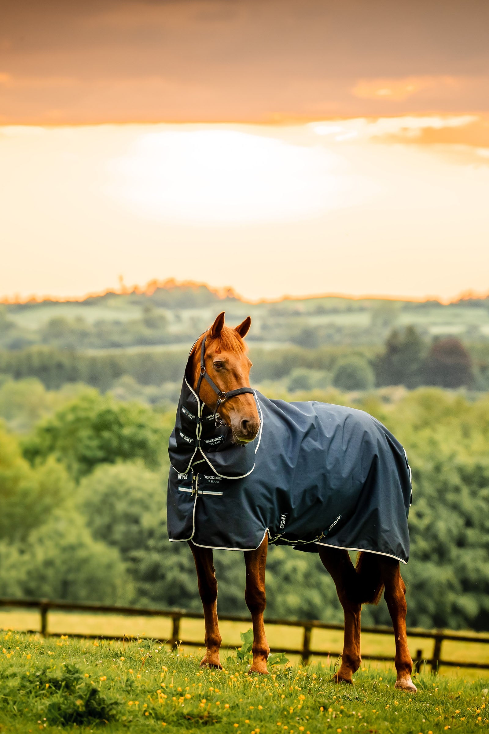 Horseware Amigo Ripstop 900D Plus outdoordeken met afneembaar halsdeel, 100 g Paardendekens