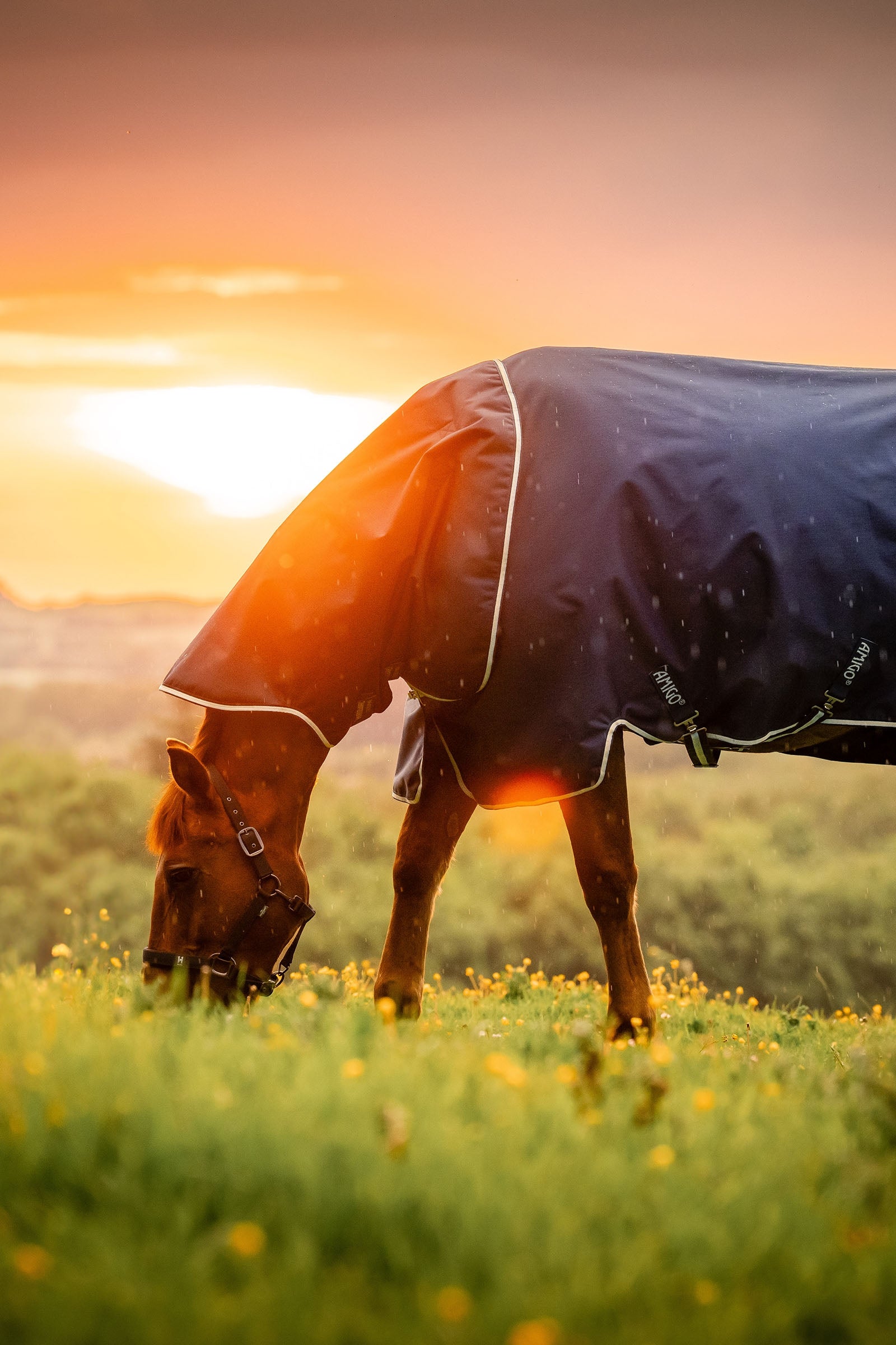 Horseware Amigo Ripstop 900D Plus Turnout Rug With Detachable Neck, 0 g Horse Rugs