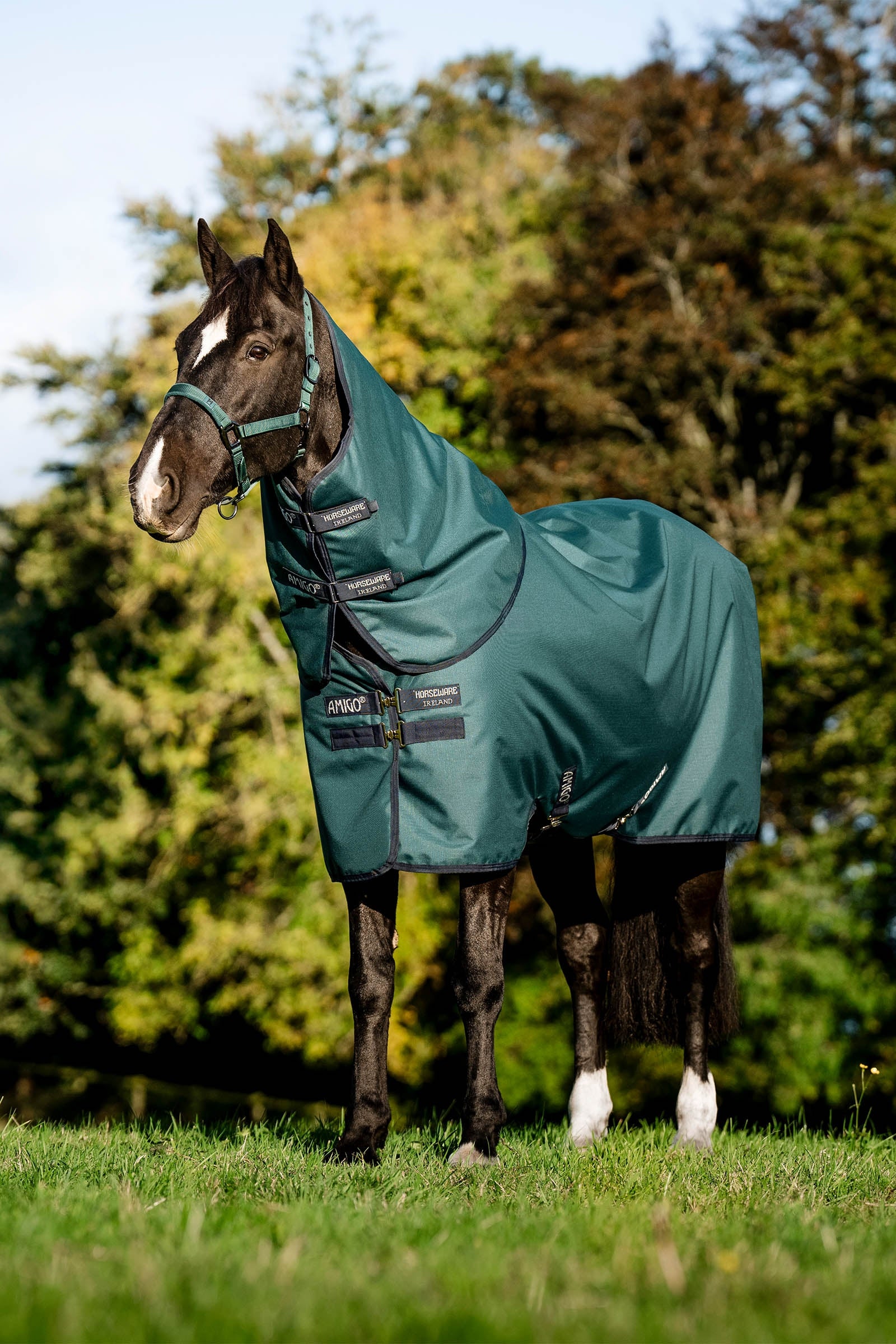 Horseware Amigo Ripstop 900D Plus Turnout Rug With Detachable Neck, 0 g Paardendekens