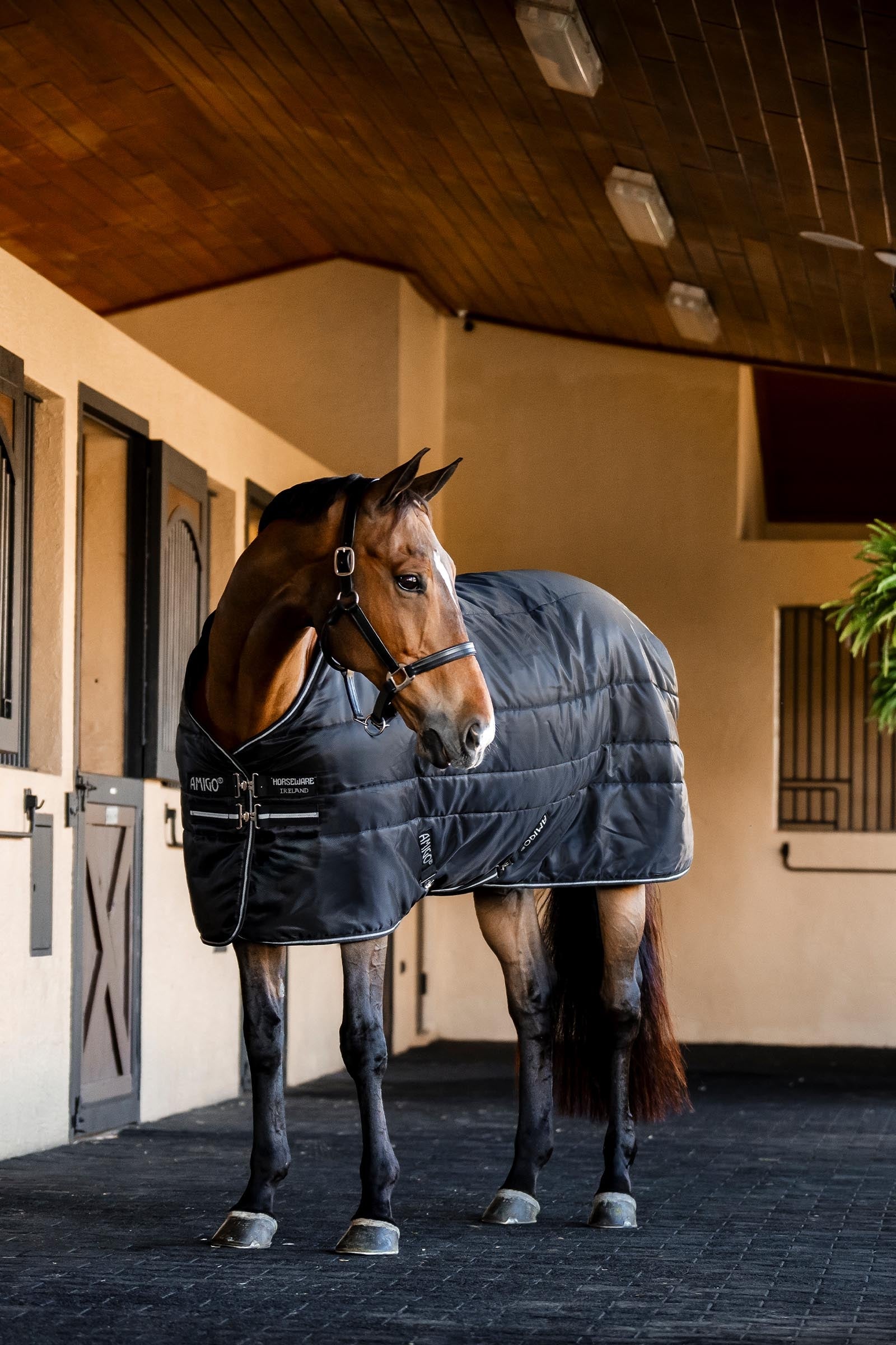 Horseware Amigo Ripstop Insulator Stable Rug, 100 g Horse Rugs